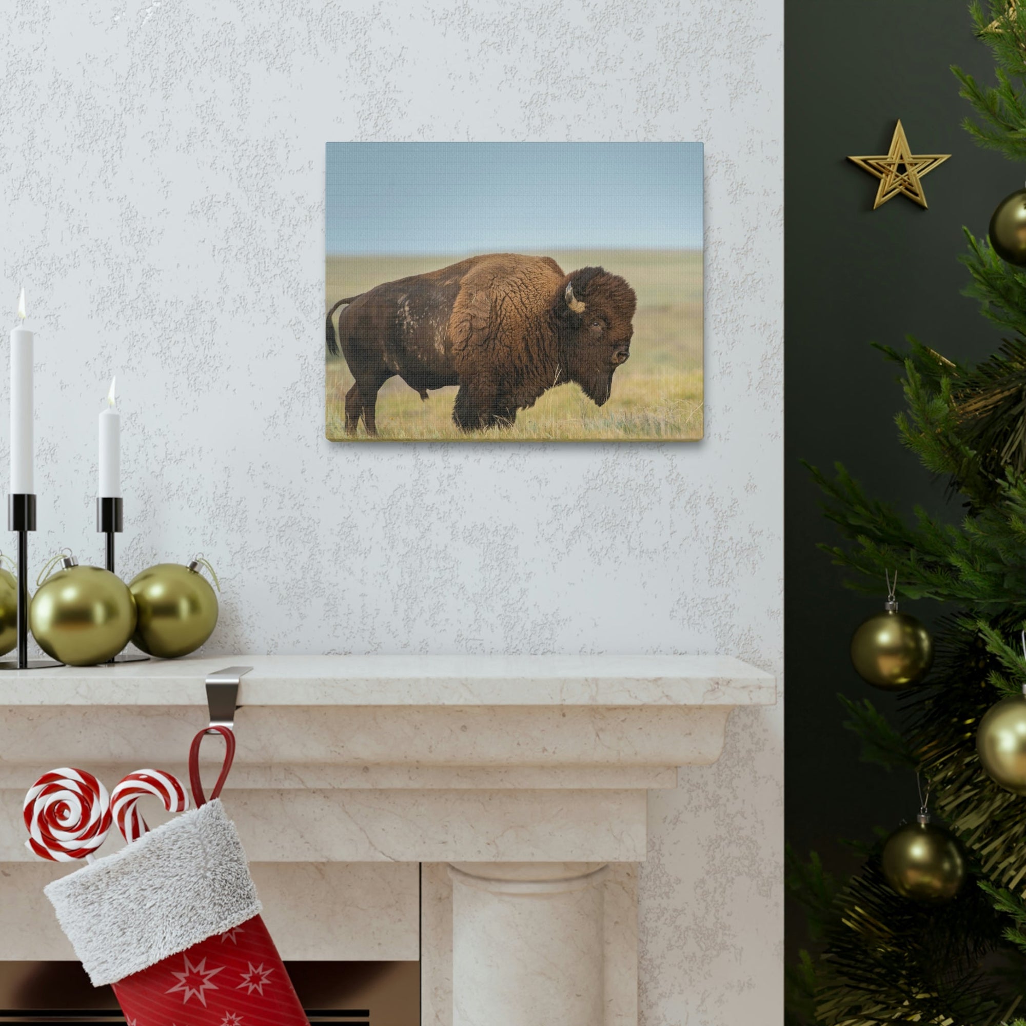 Scripture Walls Majestic Bison Art Majestic Bison Print Animal Wall Art Wildlife Canvas Prints Wall Art Ready to Hang Unframed-Express Your Love Gifts