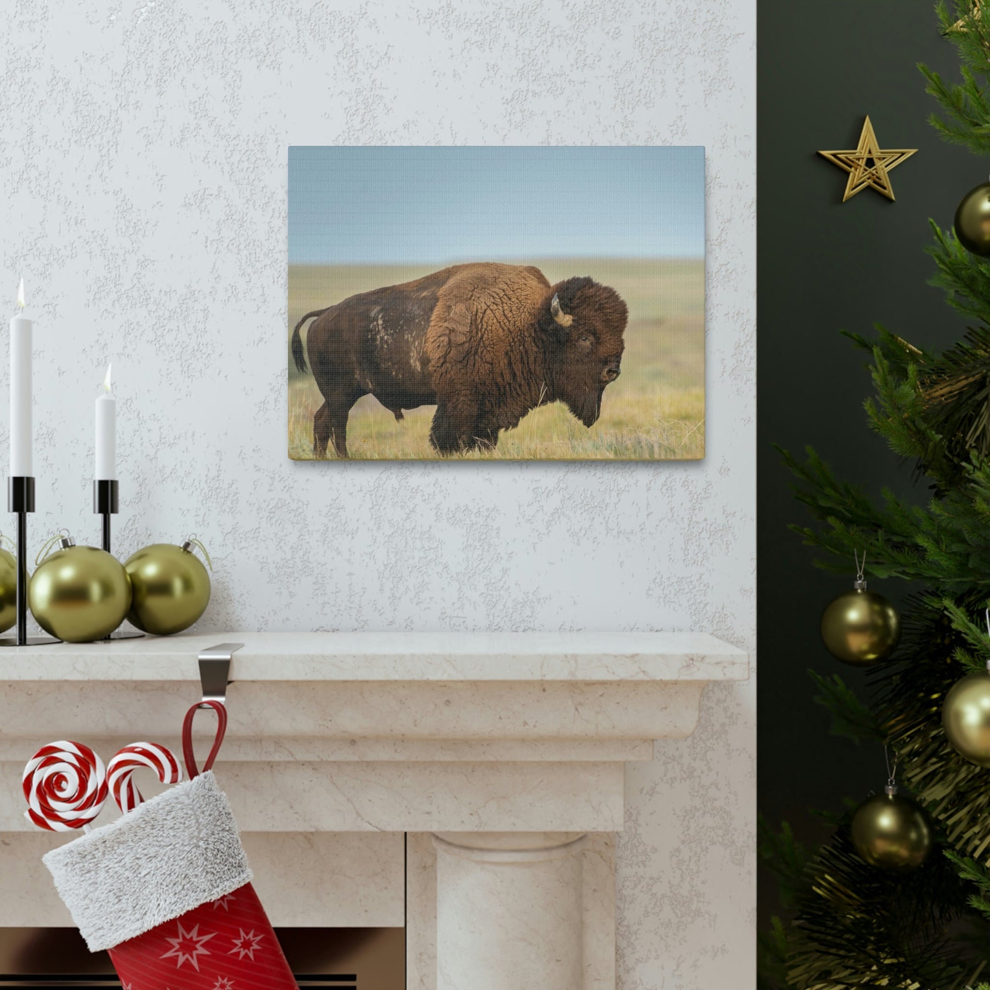 Scripture Walls Majestic Bison Art Majestic Bison Print Animal Wall Art Wildlife Canvas Prints Wall Art Ready to Hang Unframed-Express Your Love Gifts