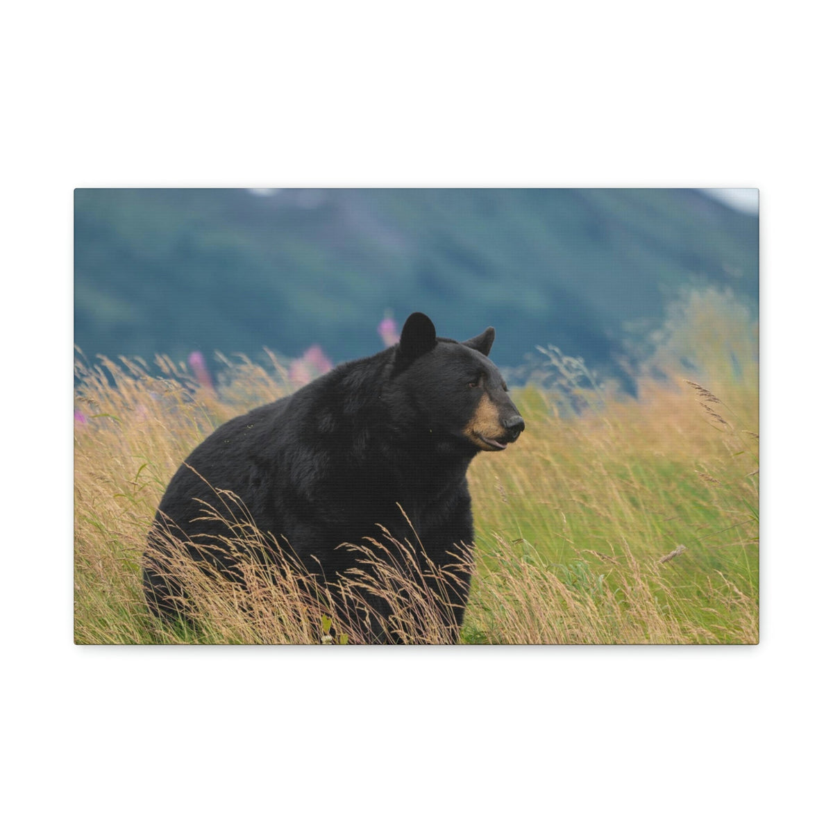 Scripture Walls Majestic Black Bear Art Majestic Black Bear Hound Print Animal Wall Art Wildlife Canvas Prints Wall Art Ready to Hang Unframed-Express Your Love Gifts