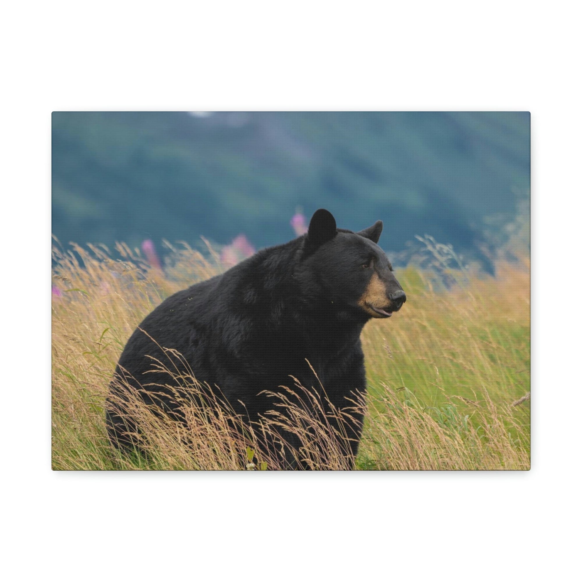 Scripture Walls Majestic Black Bear Art Majestic Black Bear Hound Print Animal Wall Art Wildlife Canvas Prints Wall Art Ready to Hang Unframed-Express Your Love Gifts