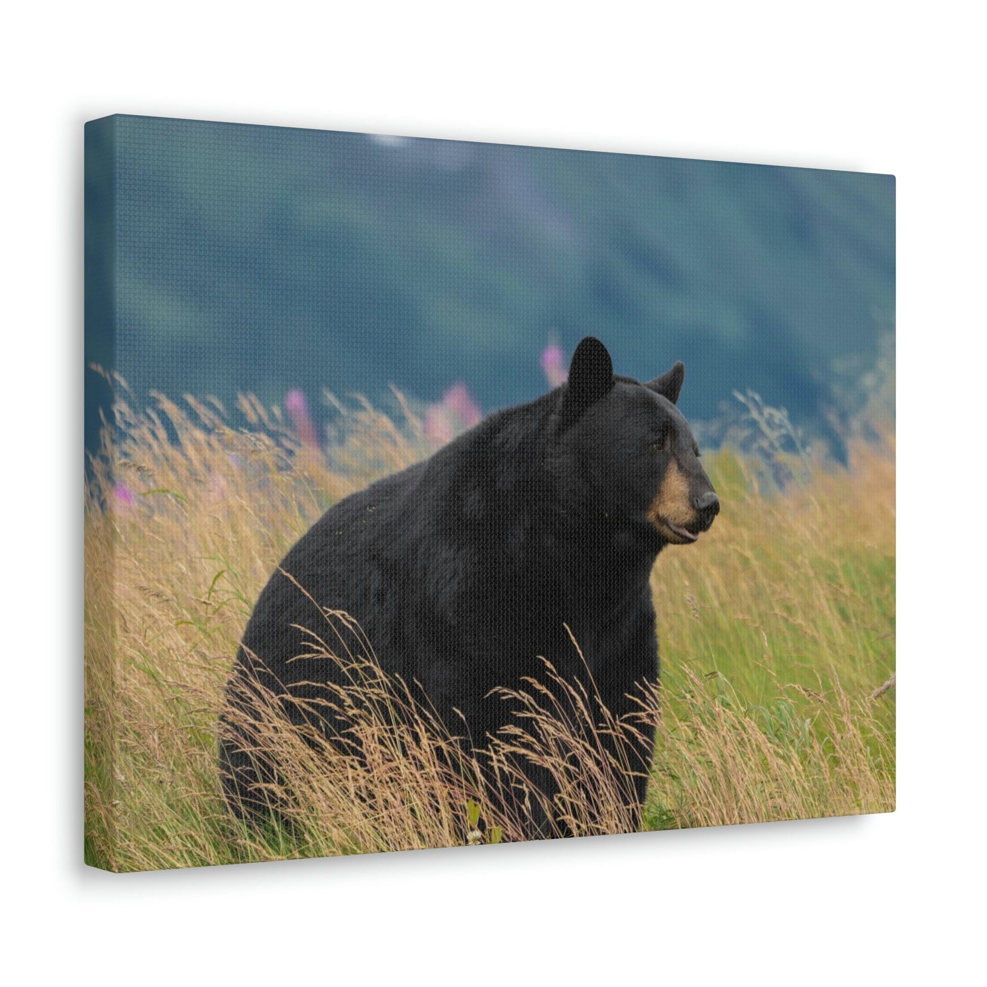 Scripture Walls Majestic Black Bear Art Majestic Black Bear Hound Print Animal Wall Art Wildlife Canvas Prints Wall Art Ready to Hang Unframed-Express Your Love Gifts