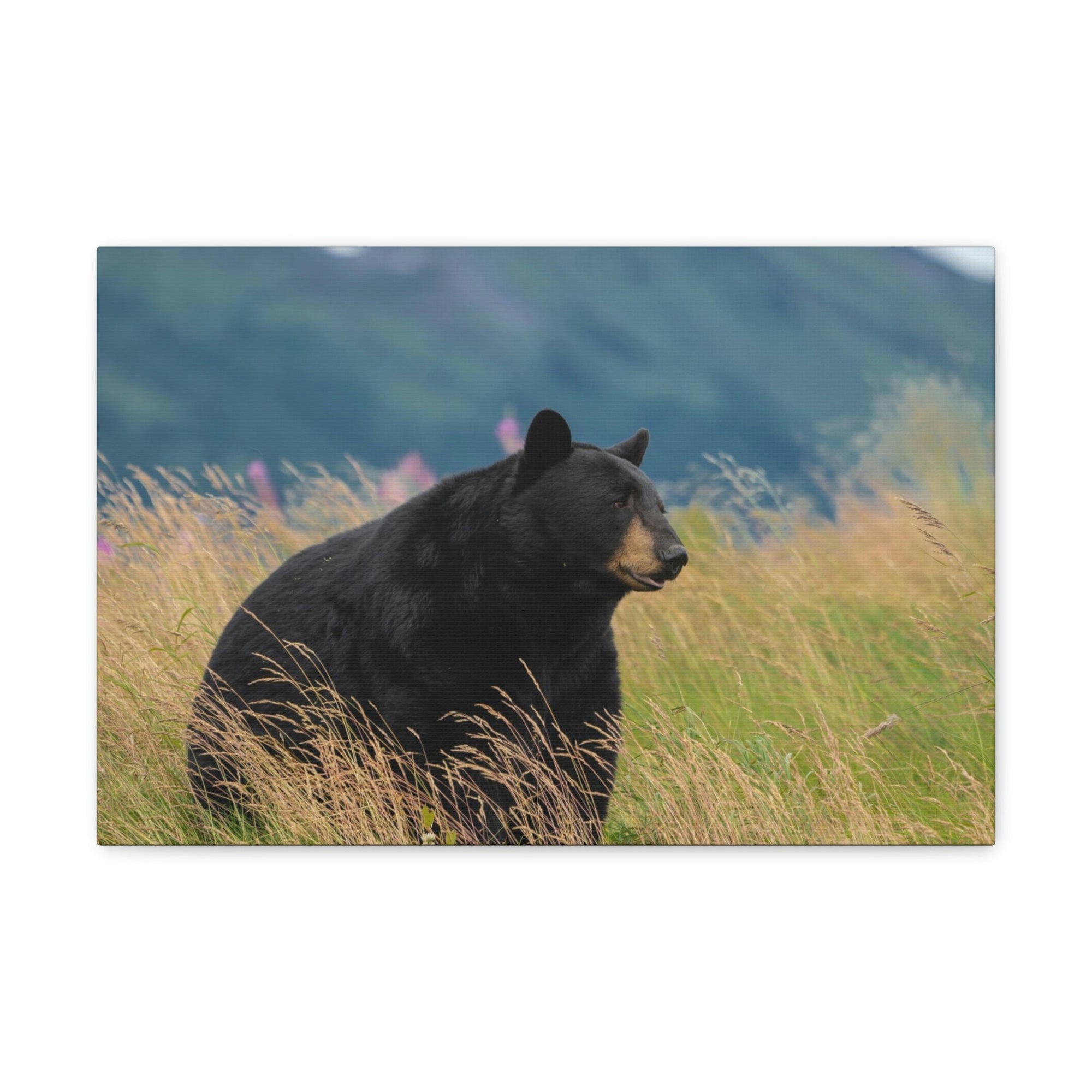 Scripture Walls Majestic Black Bear Art Majestic Black Bear Hound Print Animal Wall Art Wildlife Canvas Prints Wall Art Ready to Hang Unframed-Express Your Love Gifts