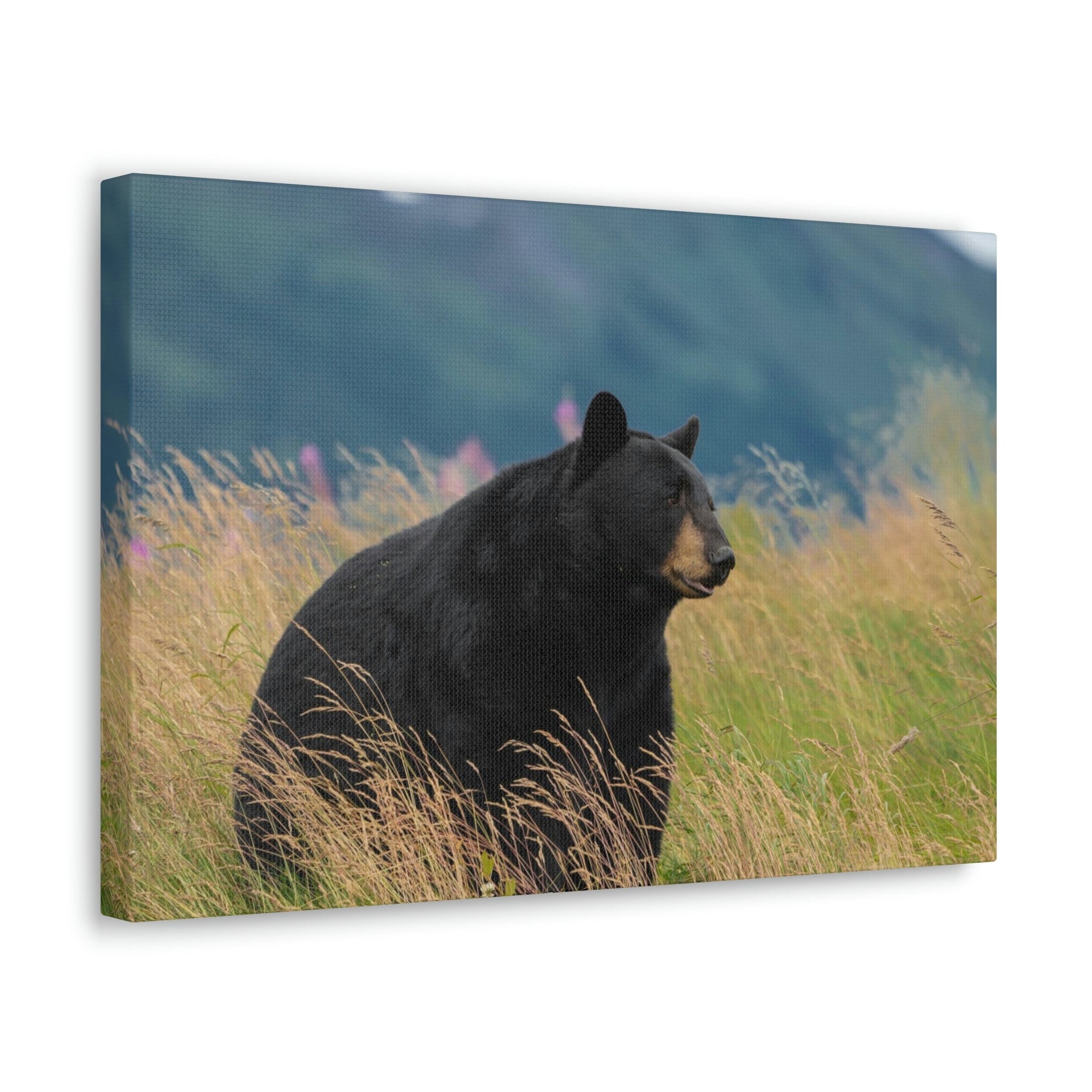 Scripture Walls Majestic Black Bear Art Majestic Black Bear Hound Print Animal Wall Art Wildlife Canvas Prints Wall Art Ready to Hang Unframed-Express Your Love Gifts