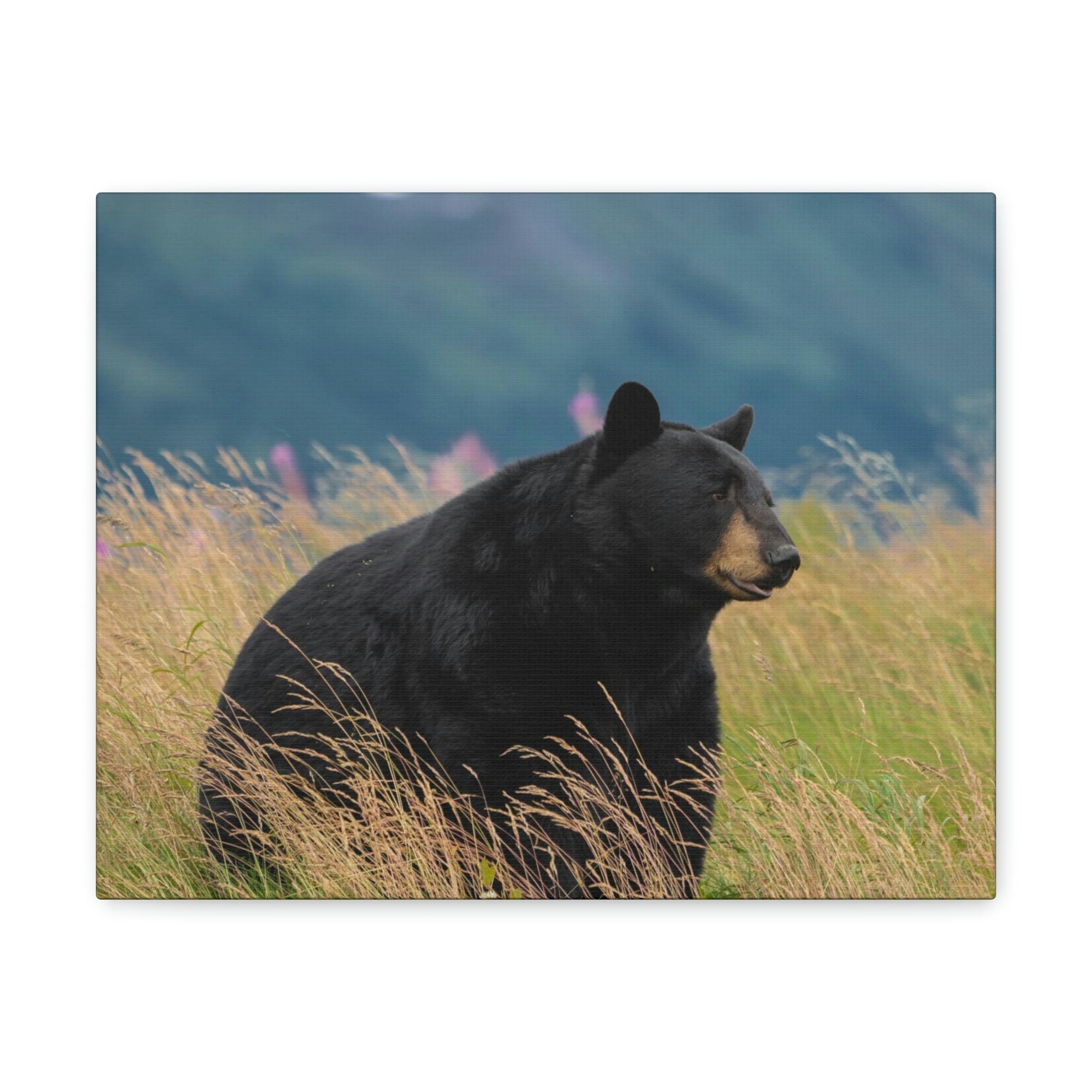 Scripture Walls Majestic Black Bear Art Majestic Black Bear Hound Print Animal Wall Art Wildlife Canvas Prints Wall Art Ready to Hang Unframed-Express Your Love Gifts