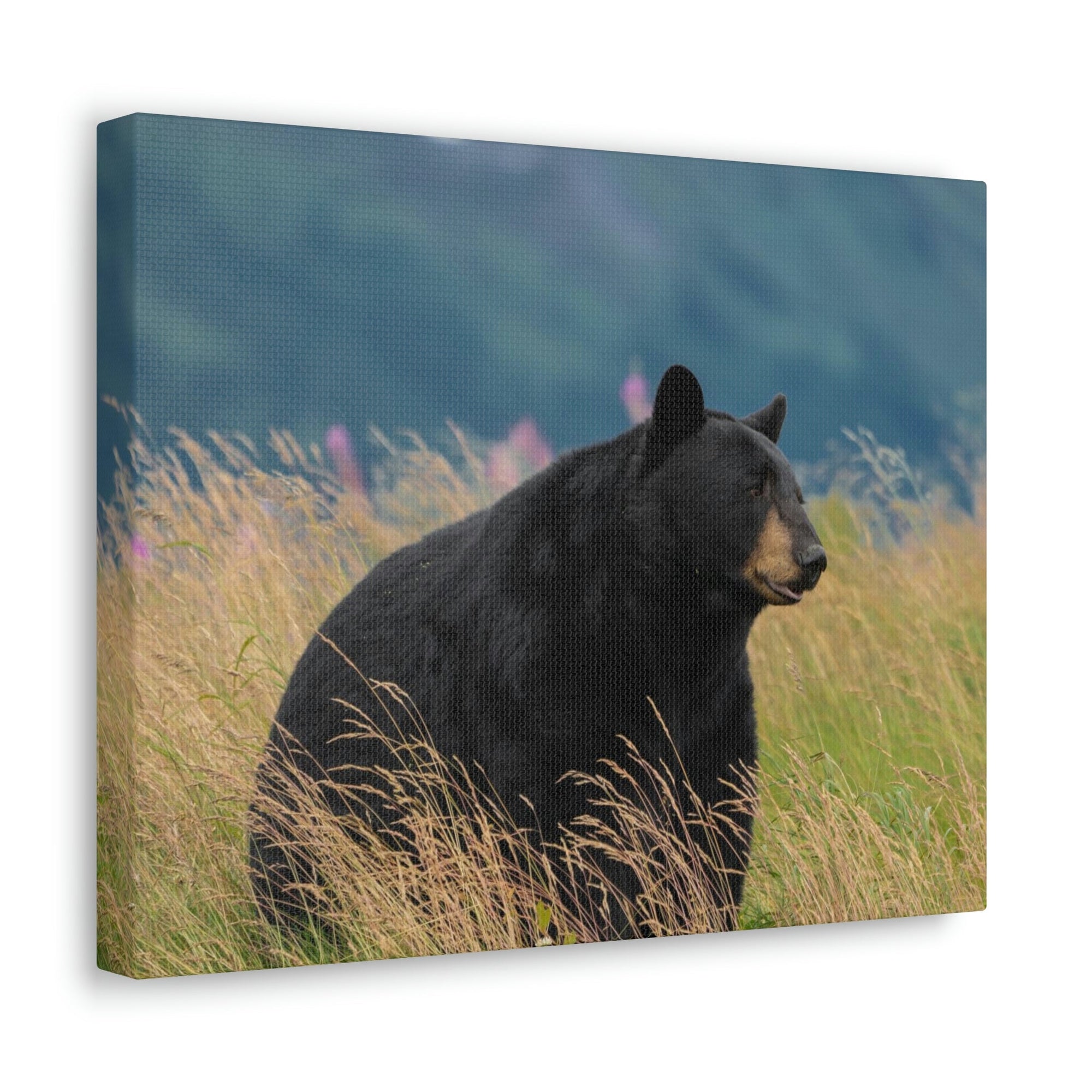 Scripture Walls Majestic Black Bear Art Majestic Black Bear Hound Print Animal Wall Art Wildlife Canvas Prints Wall Art Ready to Hang Unframed-Express Your Love Gifts