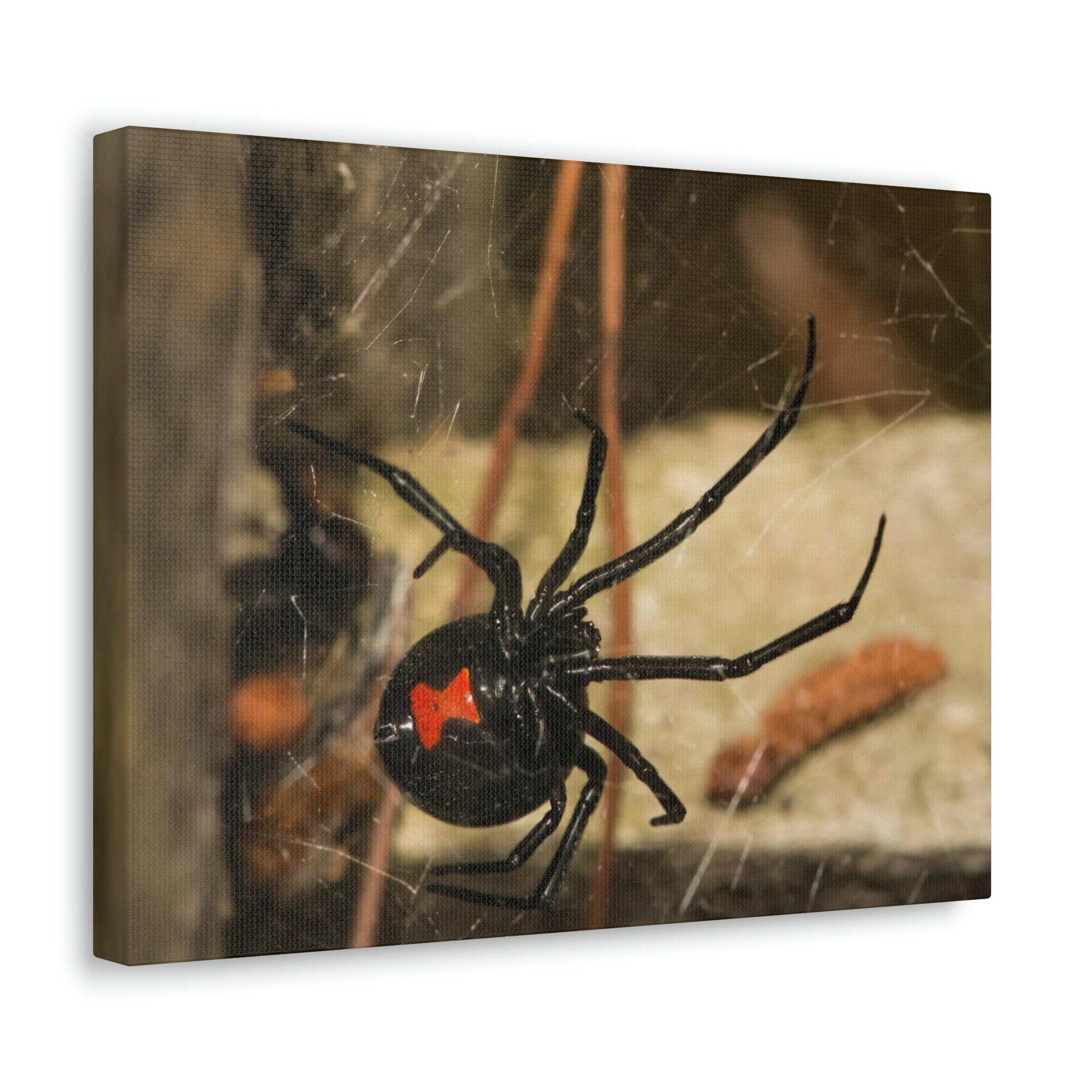 Scripture Walls Majestic Black Widow Art Majestic Black Widow Hound Print Animal Wall Art Wildlife Canvas Prints Wall Art Ready to Hang Unframed-Express Your Love Gifts