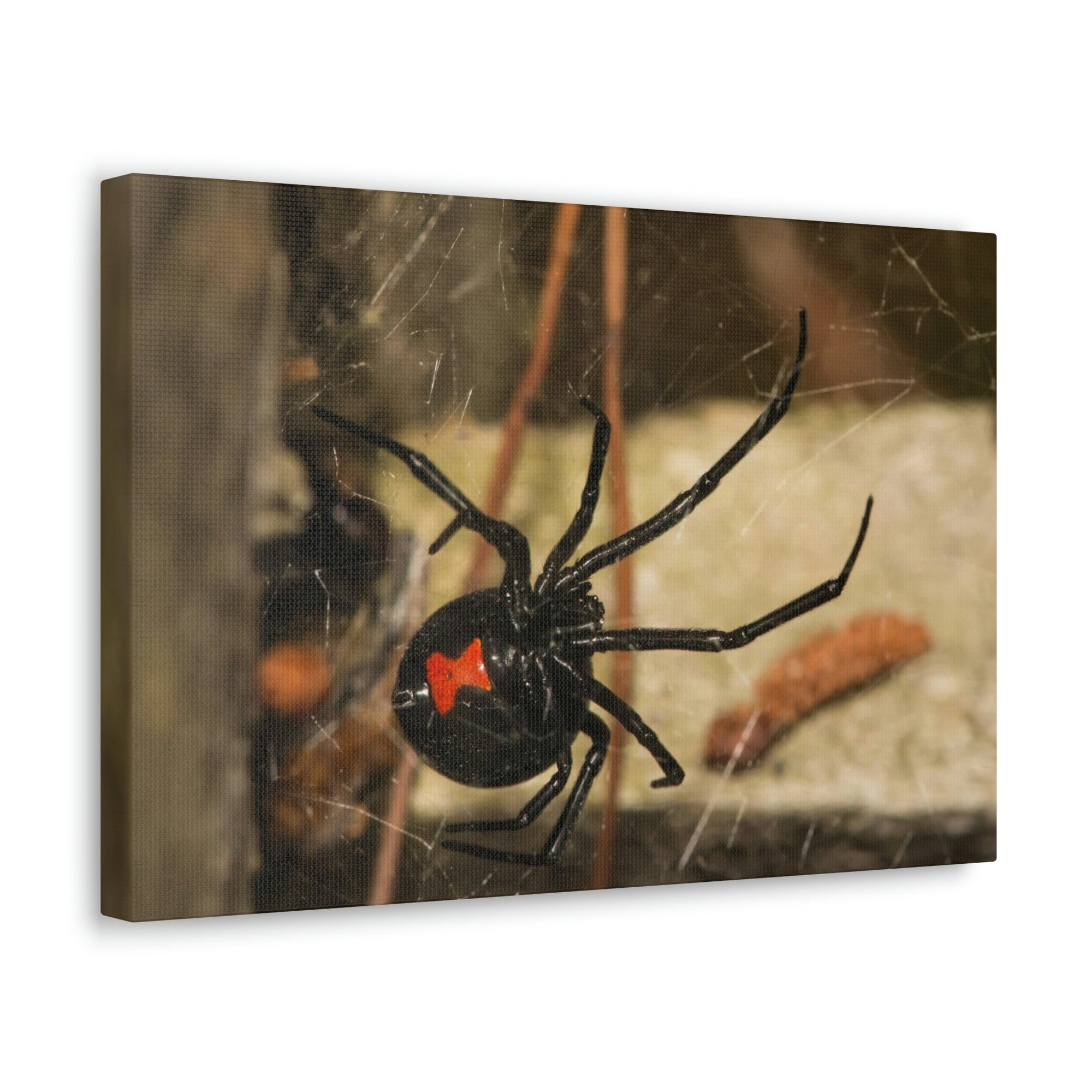 Scripture Walls Majestic Black Widow Art Majestic Black Widow Hound Print Animal Wall Art Wildlife Canvas Prints Wall Art Ready to Hang Unframed-Express Your Love Gifts