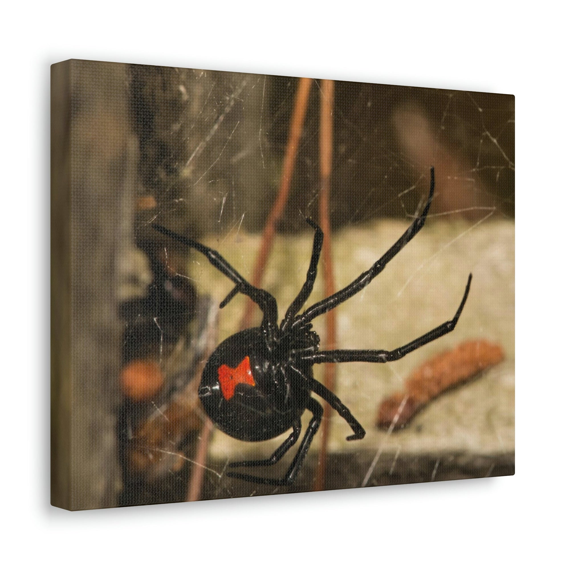 Scripture Walls Majestic Black Widow Art Majestic Black Widow Hound Print Animal Wall Art Wildlife Canvas Prints Wall Art Ready to Hang Unframed-Express Your Love Gifts