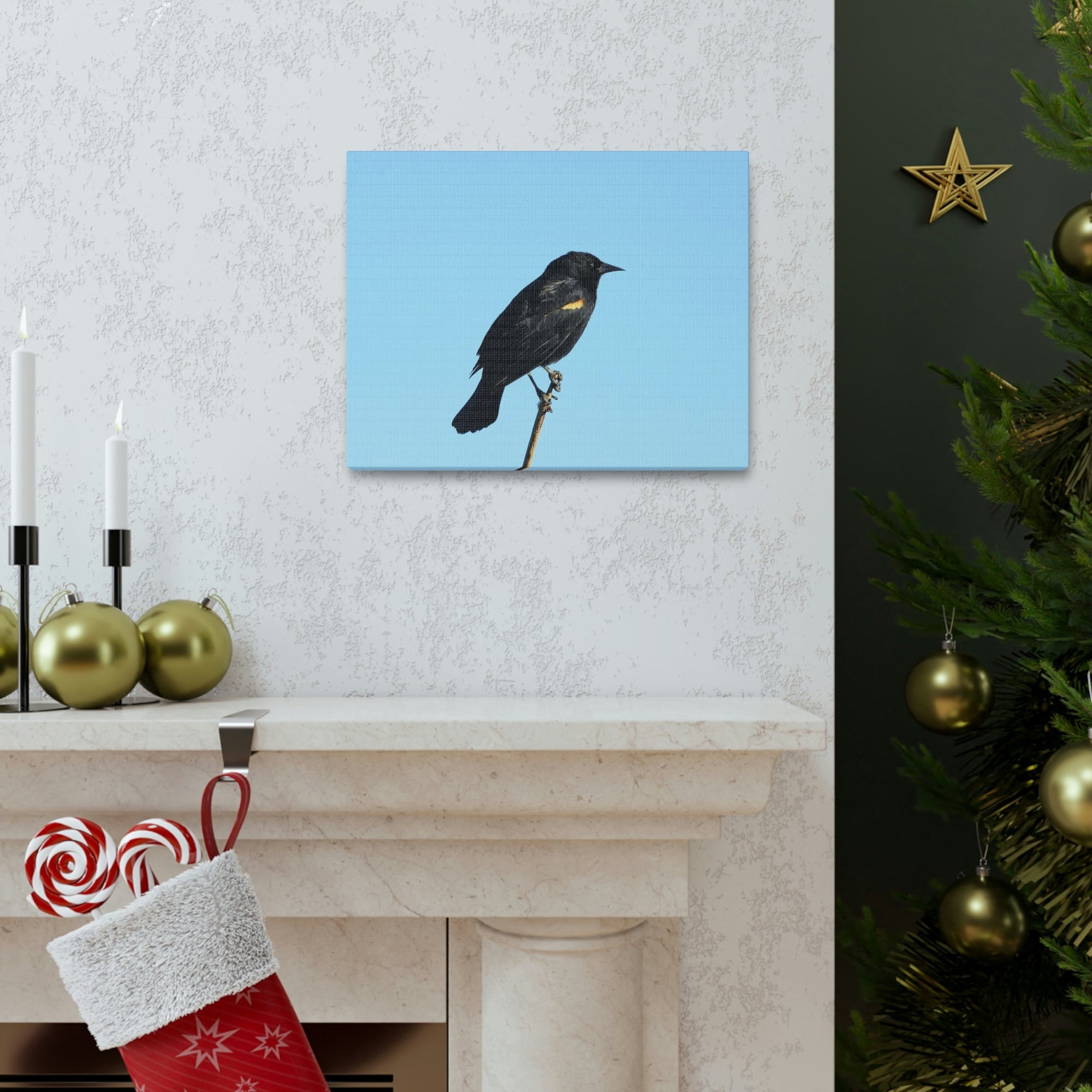 Scripture Walls Majestic Blackbird Art Majestic Blackbird Hound Print Animal Wall Art Wildlife Canvas Prints Wall Art Ready to Hang Unframed-Express Your Love Gifts