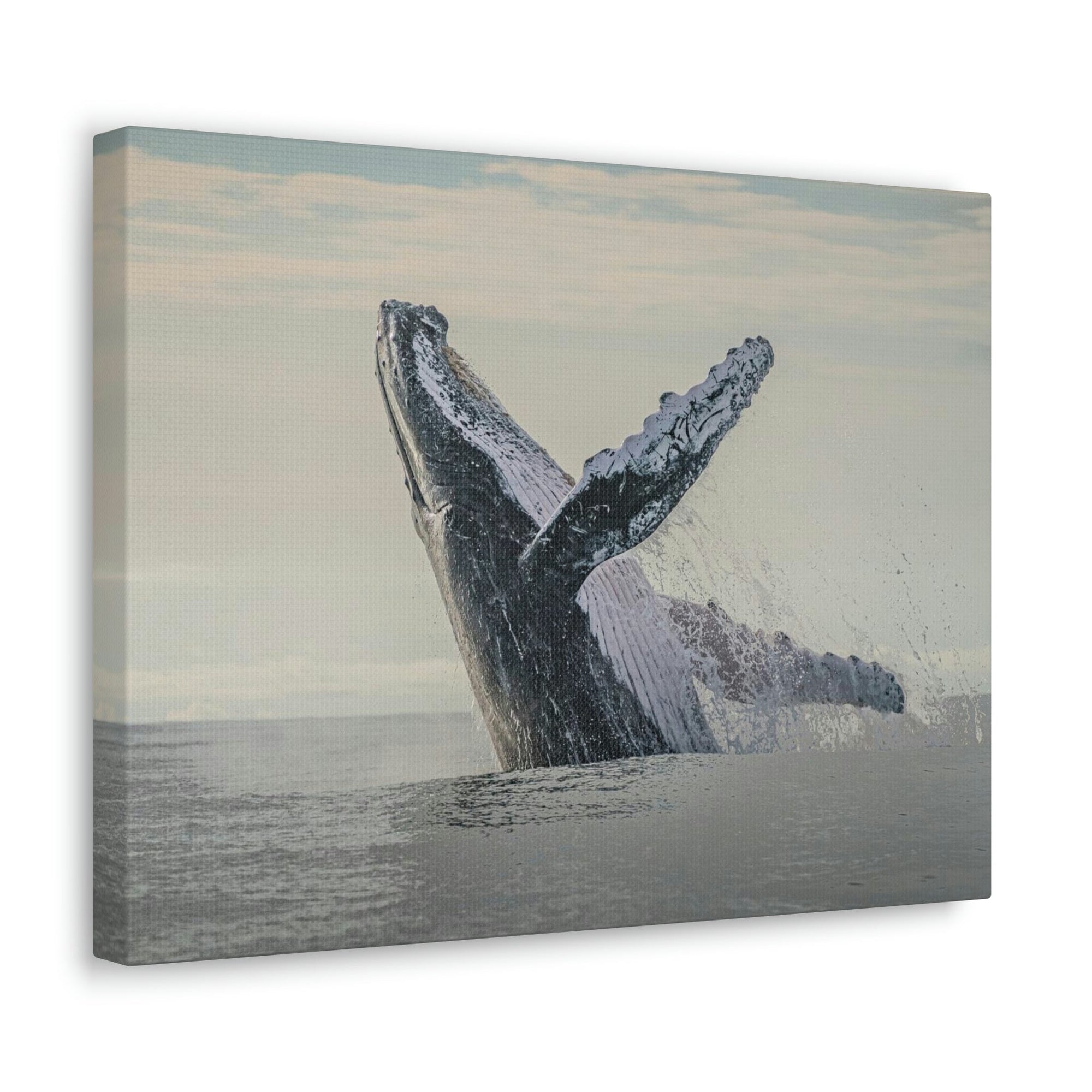 Scripture Walls Majestic Blue Whale goat Art Majestic Blue Whale Print Animal Wall Art Wildlife Canvas Prints Wall Art Ready to Hang Unframed-Express Your Love Gifts