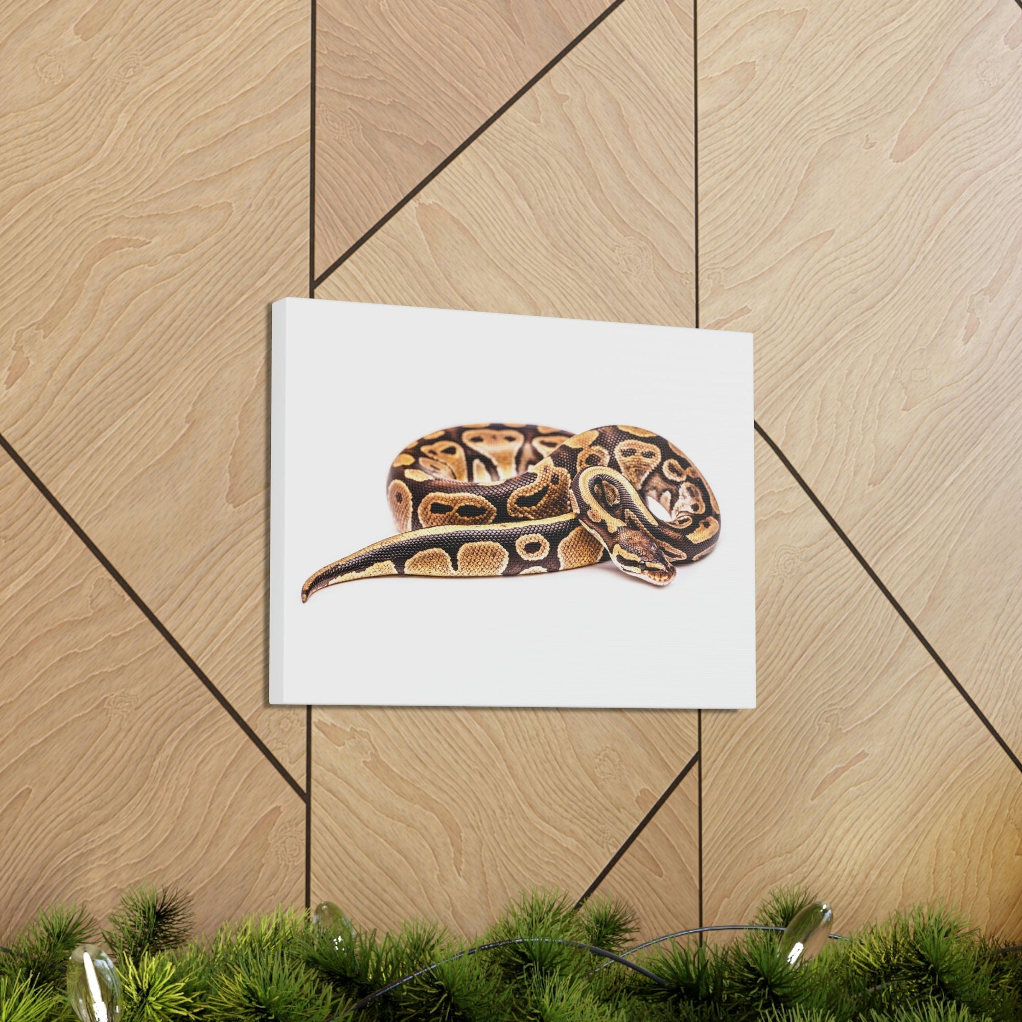 Scripture Walls Majestic Boa Art Majestic Boa Print Animal Wall Art Wildlife Canvas Prints Wall Art Ready to Hang Unframed-Express Your Love Gifts