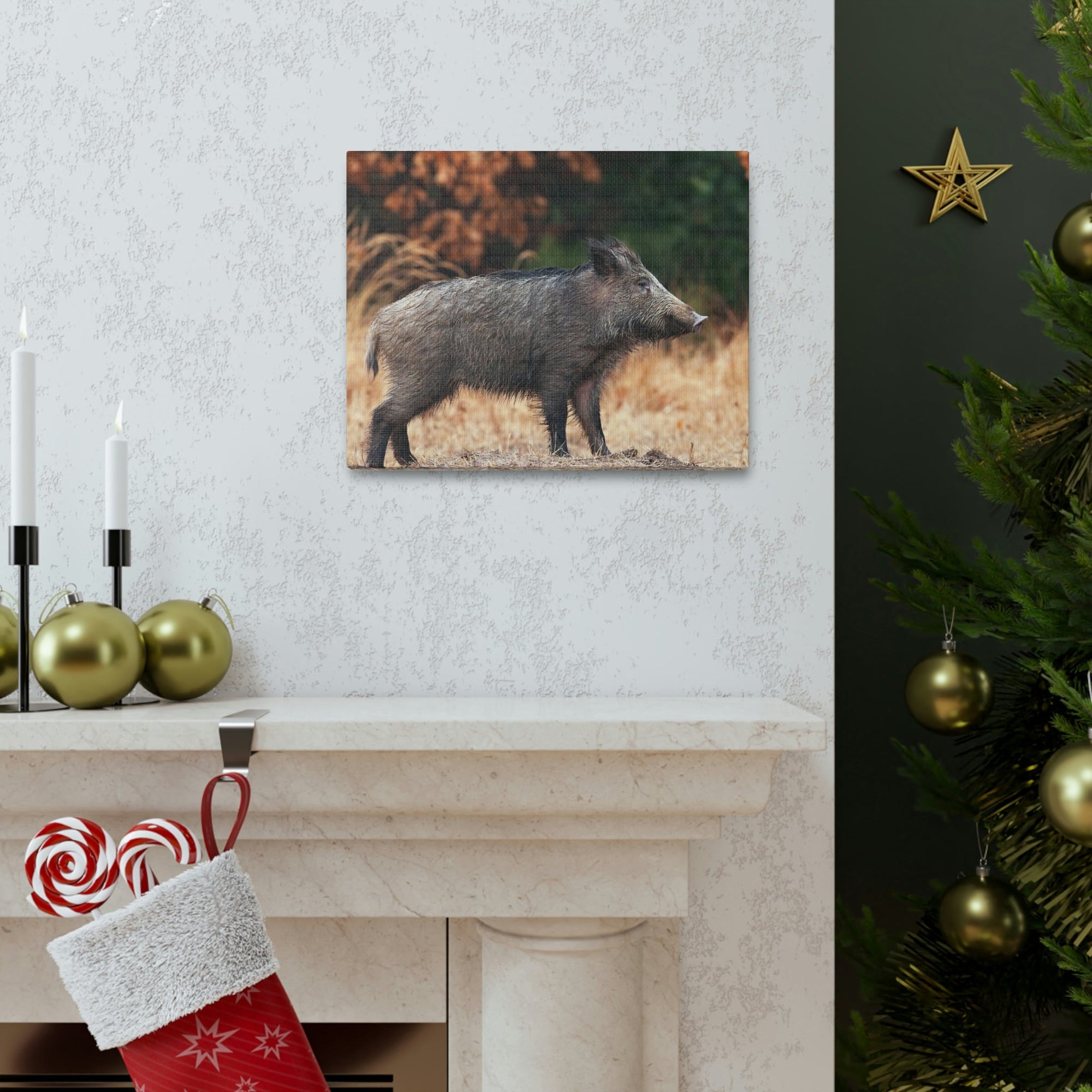 Scripture Walls Majestic Boar Art Majestic Boar Print Animal Wall Art Wildlife Canvas Prints Wall Art Ready to Hang Unframed-Express Your Love Gifts