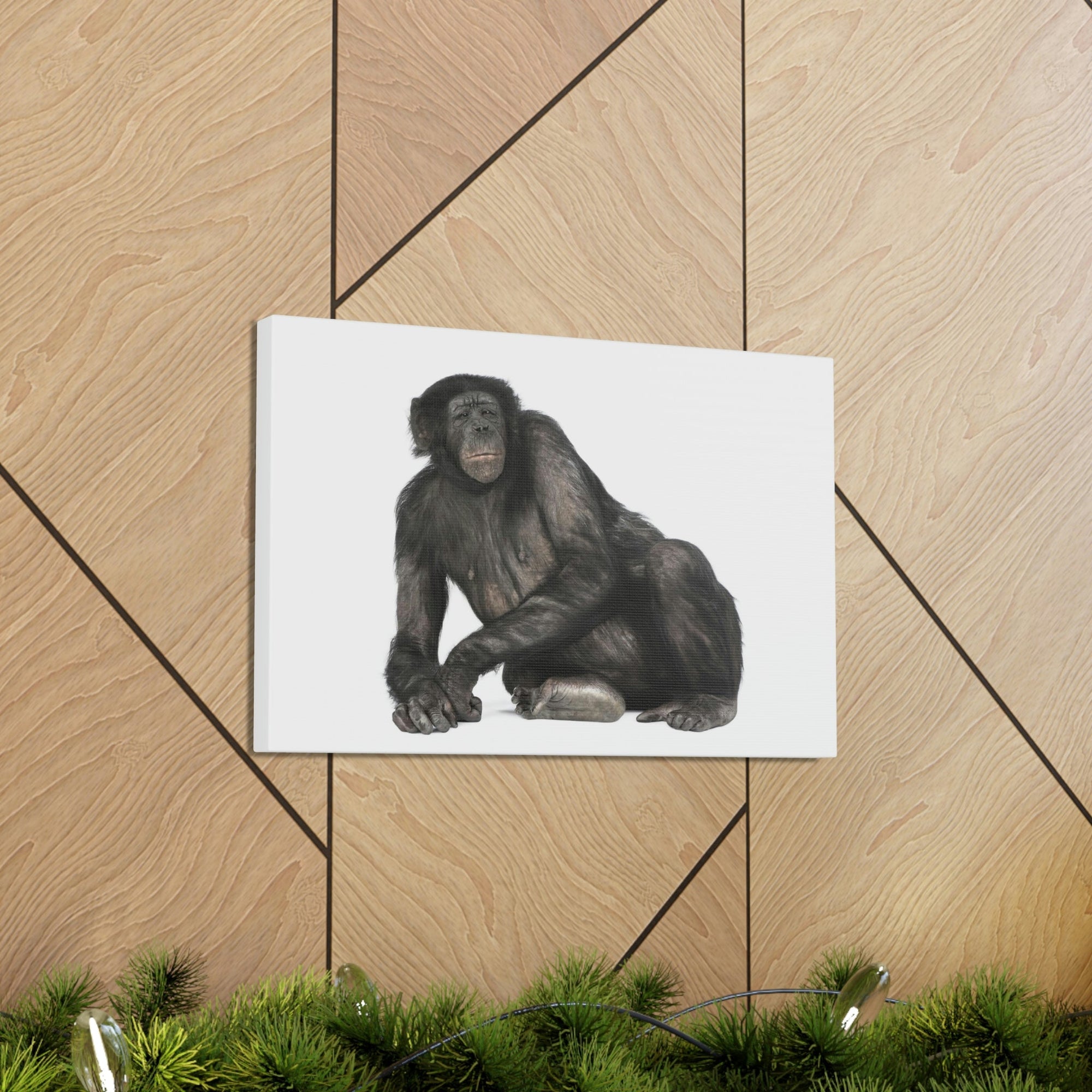 Scripture Walls Majestic Bonobo Art Majestic Bonobo Print Animal Wall Art Wildlife Canvas Prints Wall Art Ready to Hang Unframed-Express Your Love Gifts