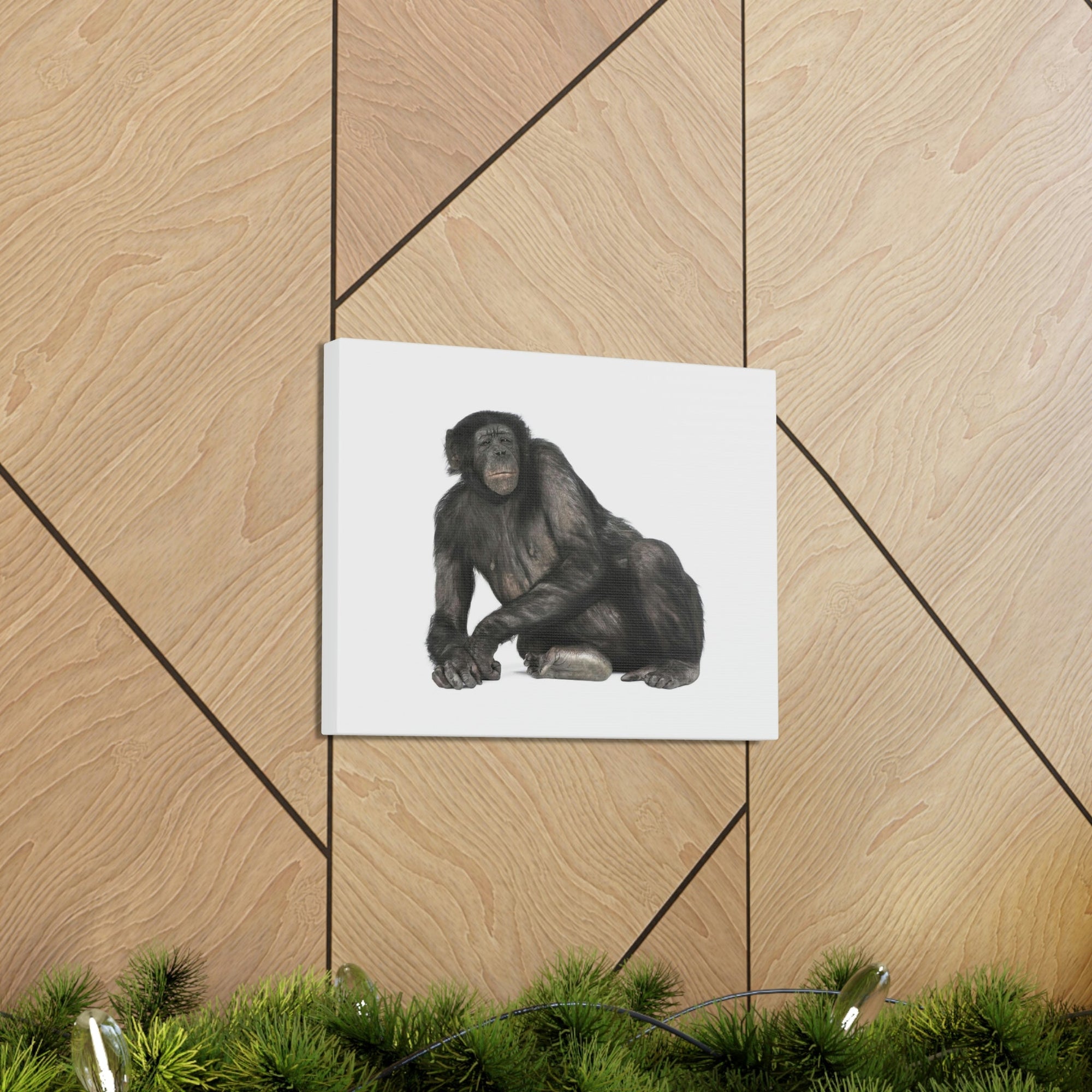 Scripture Walls Majestic Bonobo Art Majestic Bonobo Print Animal Wall Art Wildlife Canvas Prints Wall Art Ready to Hang Unframed-Express Your Love Gifts