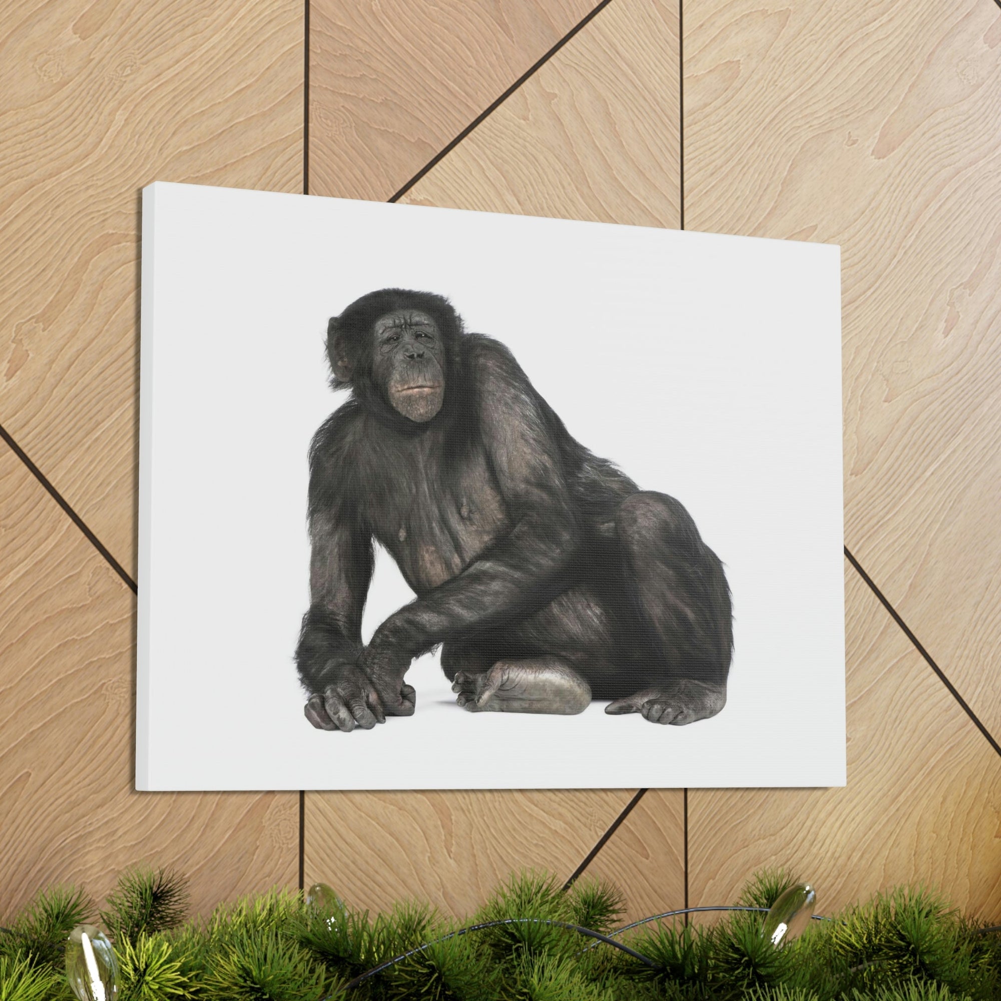 Scripture Walls Majestic Bonobo Art Majestic Bonobo Print Animal Wall Art Wildlife Canvas Prints Wall Art Ready to Hang Unframed-Express Your Love Gifts