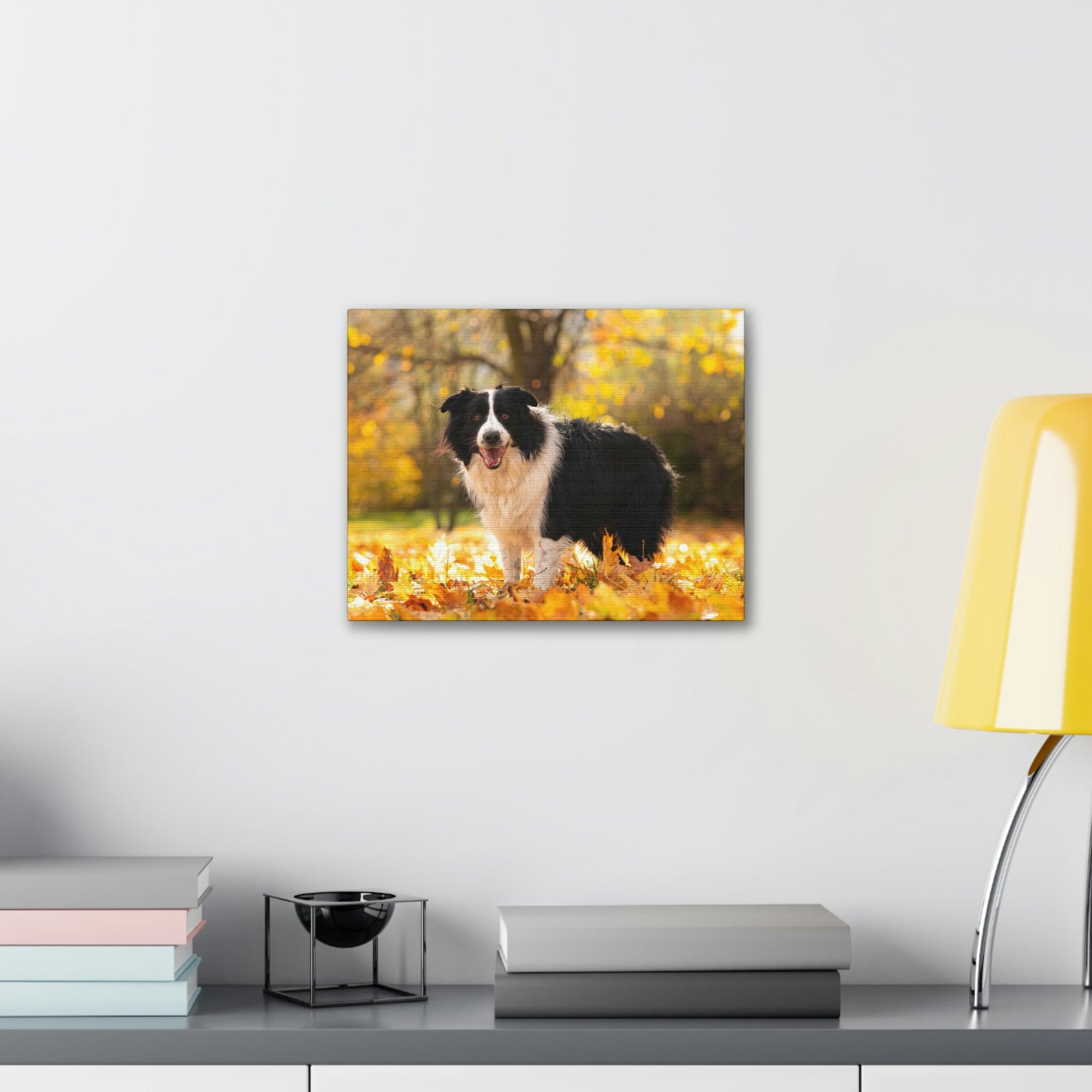 Scripture Walls Majestic Border Collie Art Majestic Border Collie Print Animal Wall Art Wildlife Canvas Prints Wall Art Ready to Hang Unframed-Express Your Love Gifts