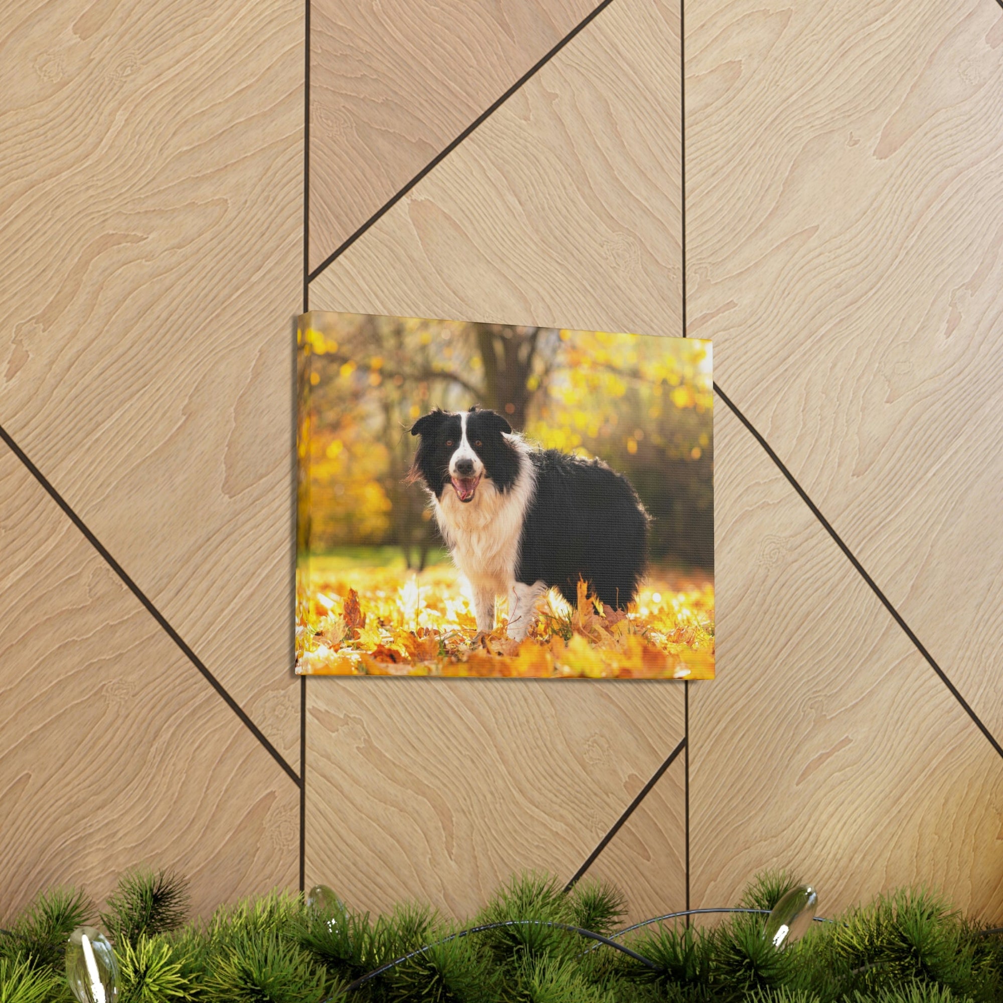 Scripture Walls Majestic Border Collie Art Majestic Border Collie Print Animal Wall Art Wildlife Canvas Prints Wall Art Ready to Hang Unframed-Express Your Love Gifts