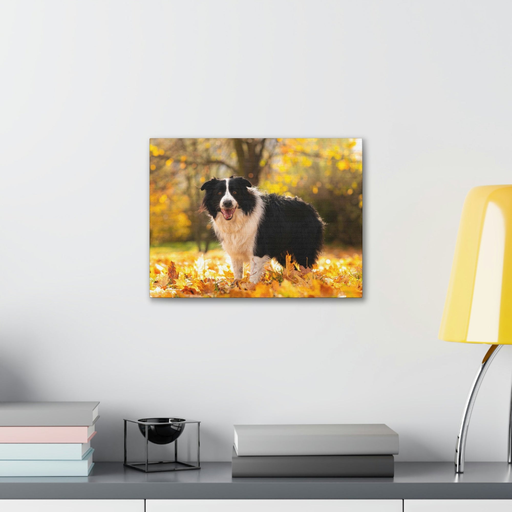 Scripture Walls Majestic Border Collie Art Majestic Border Collie Print Animal Wall Art Wildlife Canvas Prints Wall Art Ready to Hang Unframed-Express Your Love Gifts