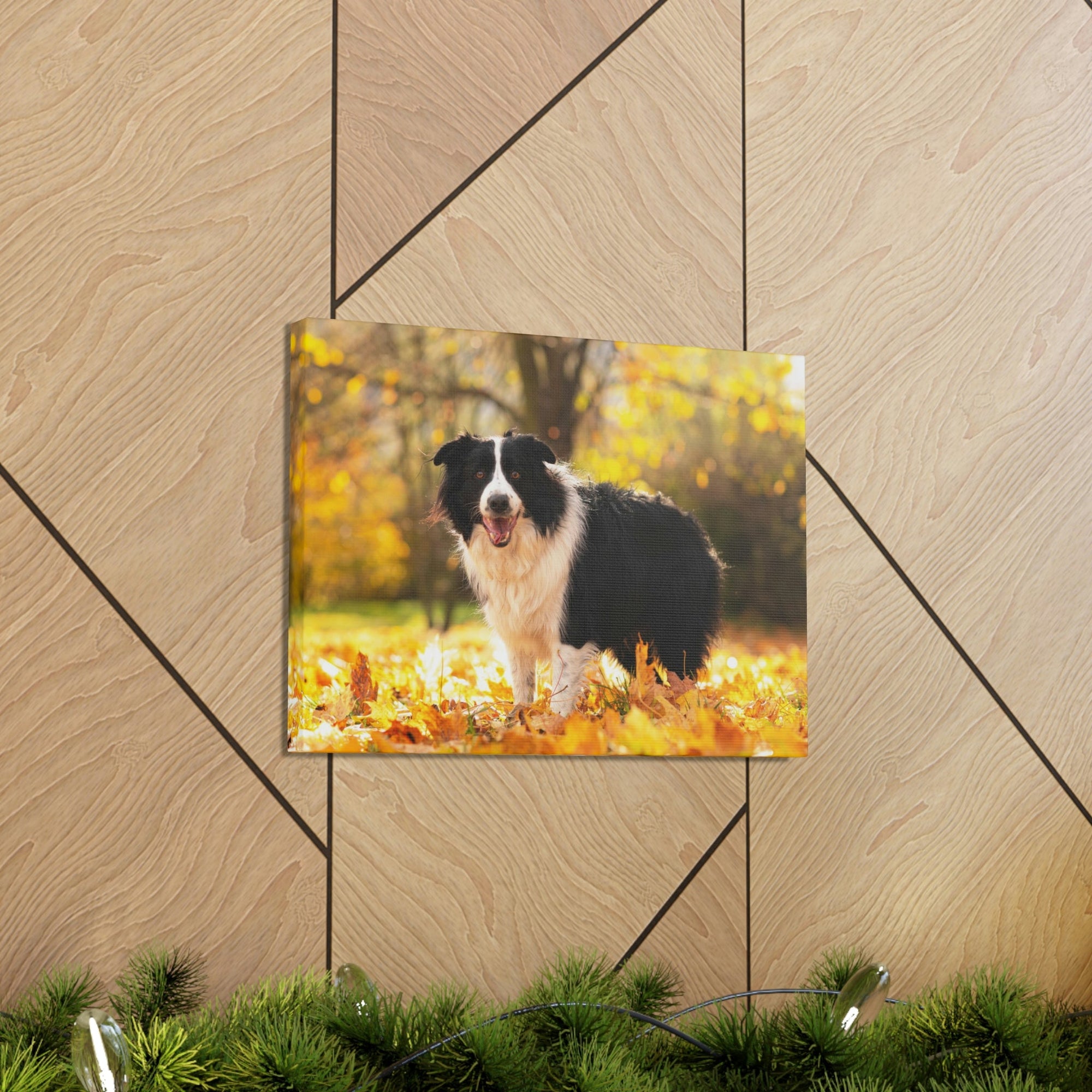 Scripture Walls Majestic Border Collie Art Majestic Border Collie Print Animal Wall Art Wildlife Canvas Prints Wall Art Ready to Hang Unframed-Express Your Love Gifts