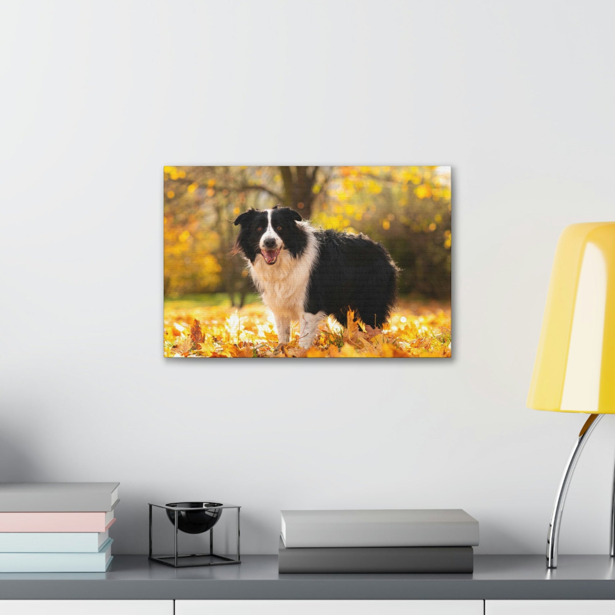 Scripture Walls Majestic Border Collie Art Majestic Border Collie Print Animal Wall Art Wildlife Canvas Prints Wall Art Ready to Hang Unframed-Express Your Love Gifts