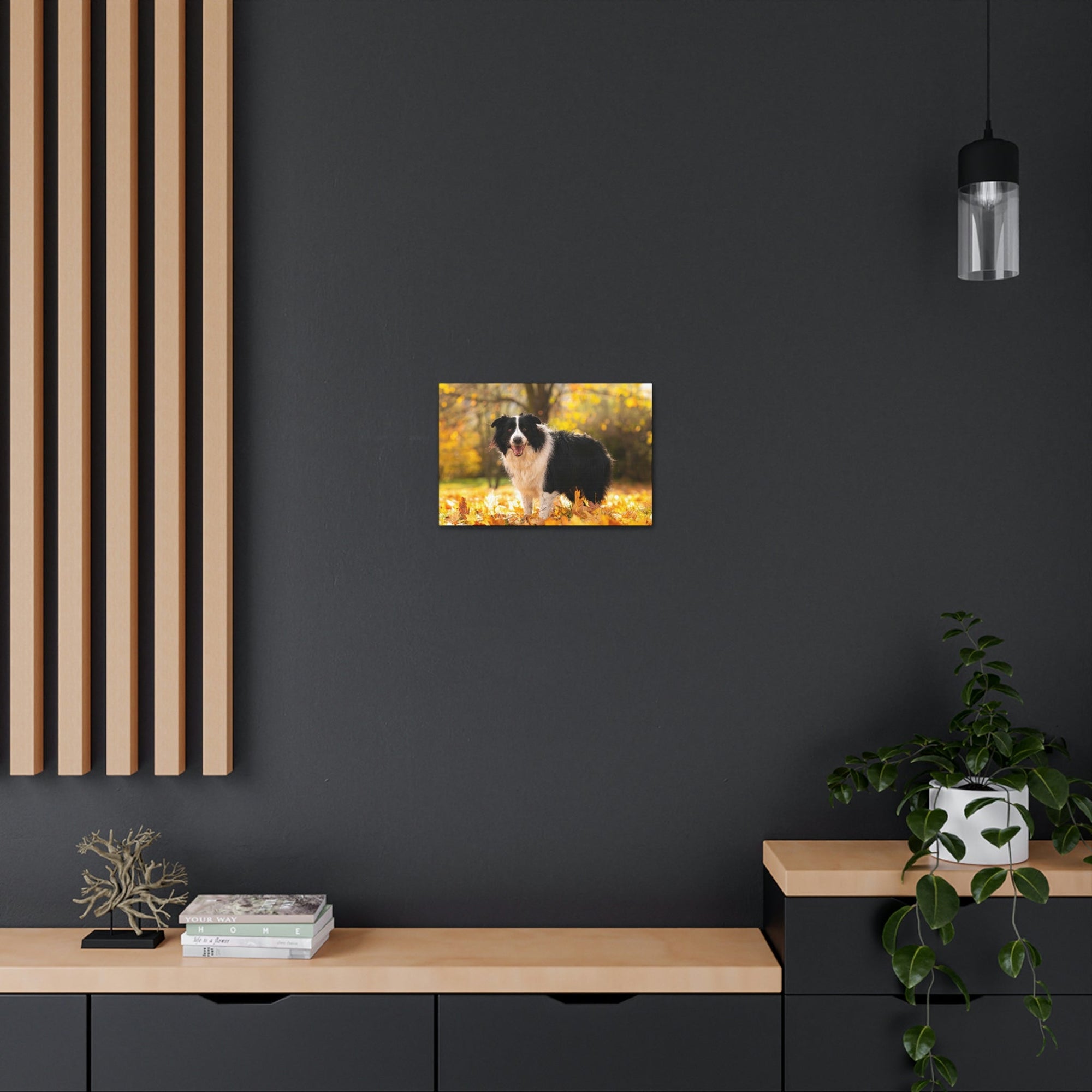 Scripture Walls Majestic Border Collie Art Majestic Border Collie Print Animal Wall Art Wildlife Canvas Prints Wall Art Ready to Hang Unframed-Express Your Love Gifts