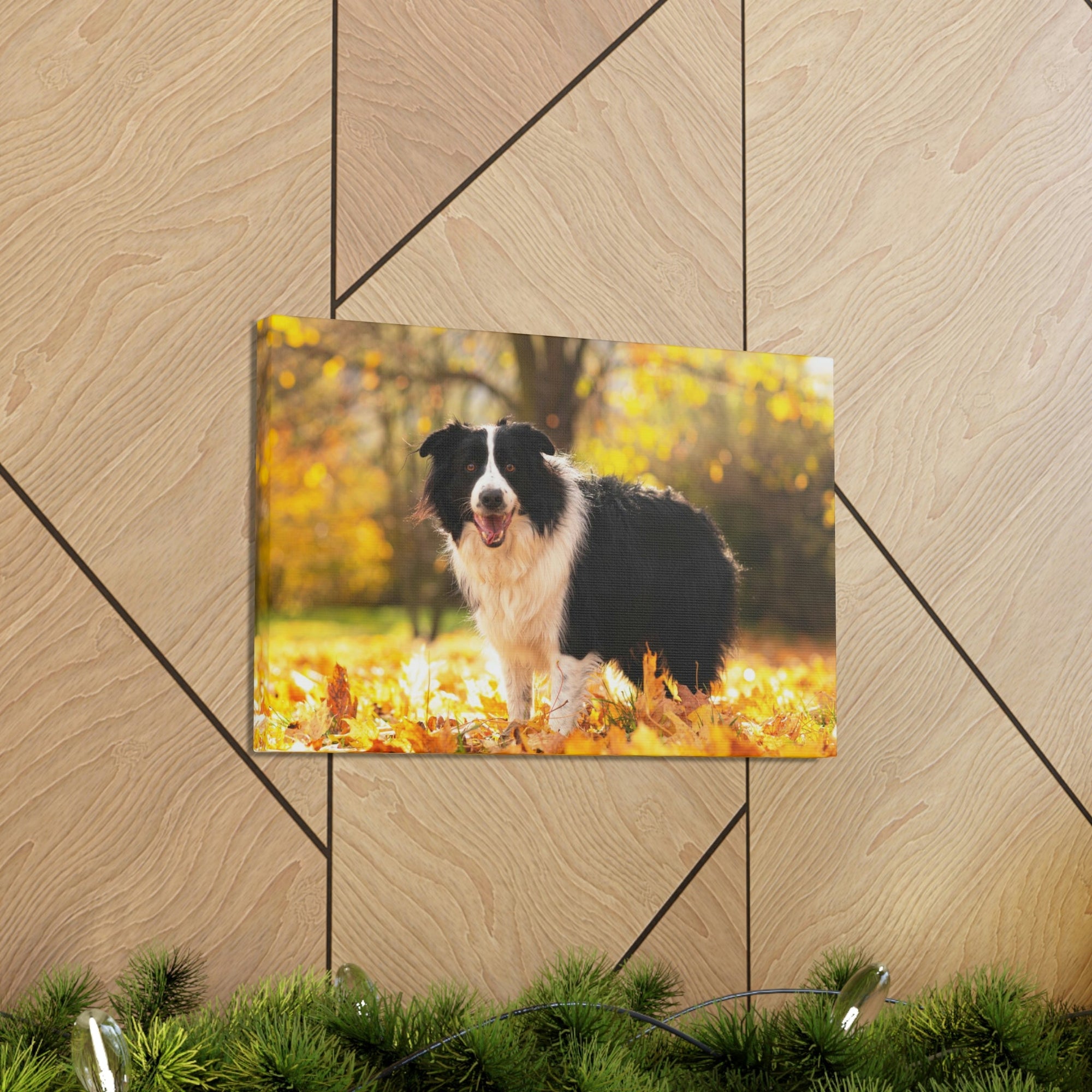 Scripture Walls Majestic Border Collie Art Majestic Border Collie Print Animal Wall Art Wildlife Canvas Prints Wall Art Ready to Hang Unframed-Express Your Love Gifts