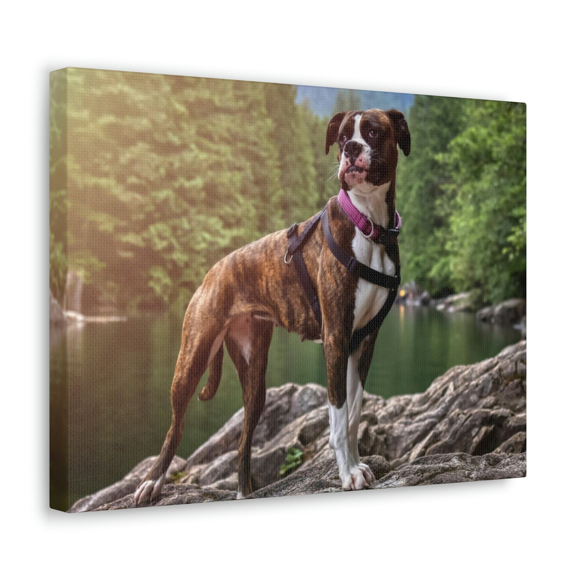 Scripture Walls Majestic Boxer dog Art Majestic Boxer dog Print Animal Wall Art Wildlife Canvas Prints Wall Art Ready to Hang Unframed-Express Your Love Gifts