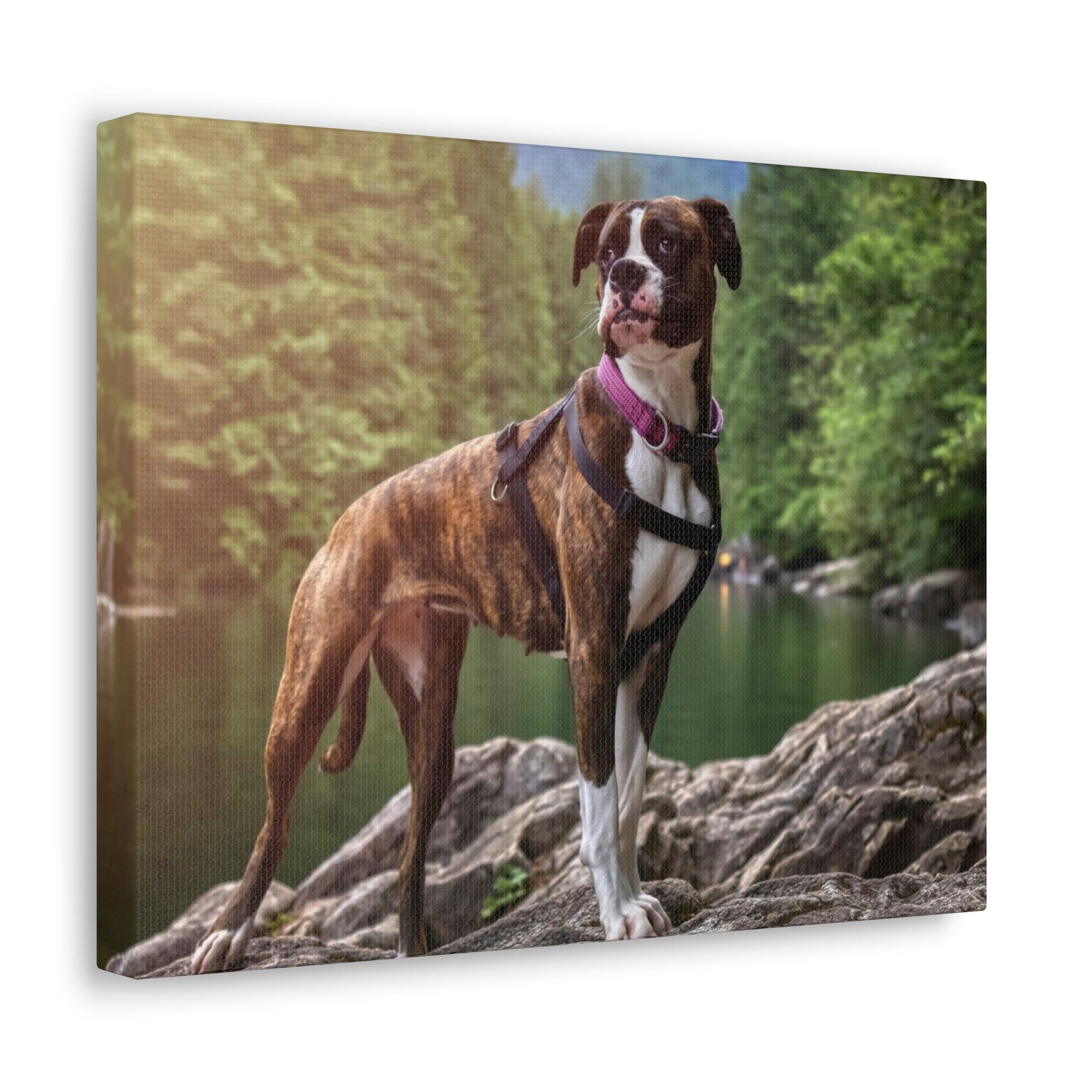 Scripture Walls Majestic Boxer dog Art Majestic Boxer dog Print Animal Wall Art Wildlife Canvas Prints Wall Art Ready to Hang Unframed-Express Your Love Gifts