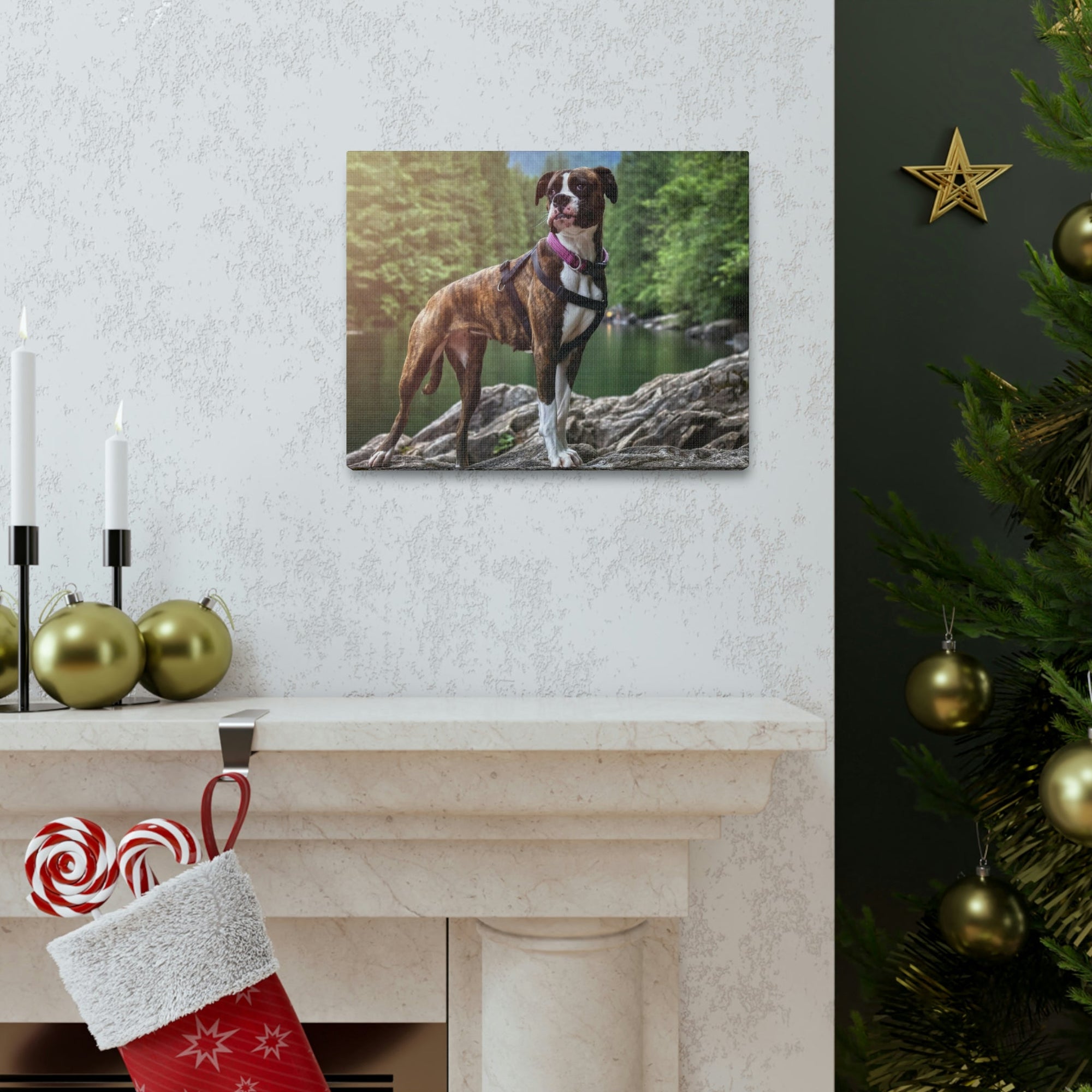 Scripture Walls Majestic Boxer dog Art Majestic Boxer dog Print Animal Wall Art Wildlife Canvas Prints Wall Art Ready to Hang Unframed-Express Your Love Gifts