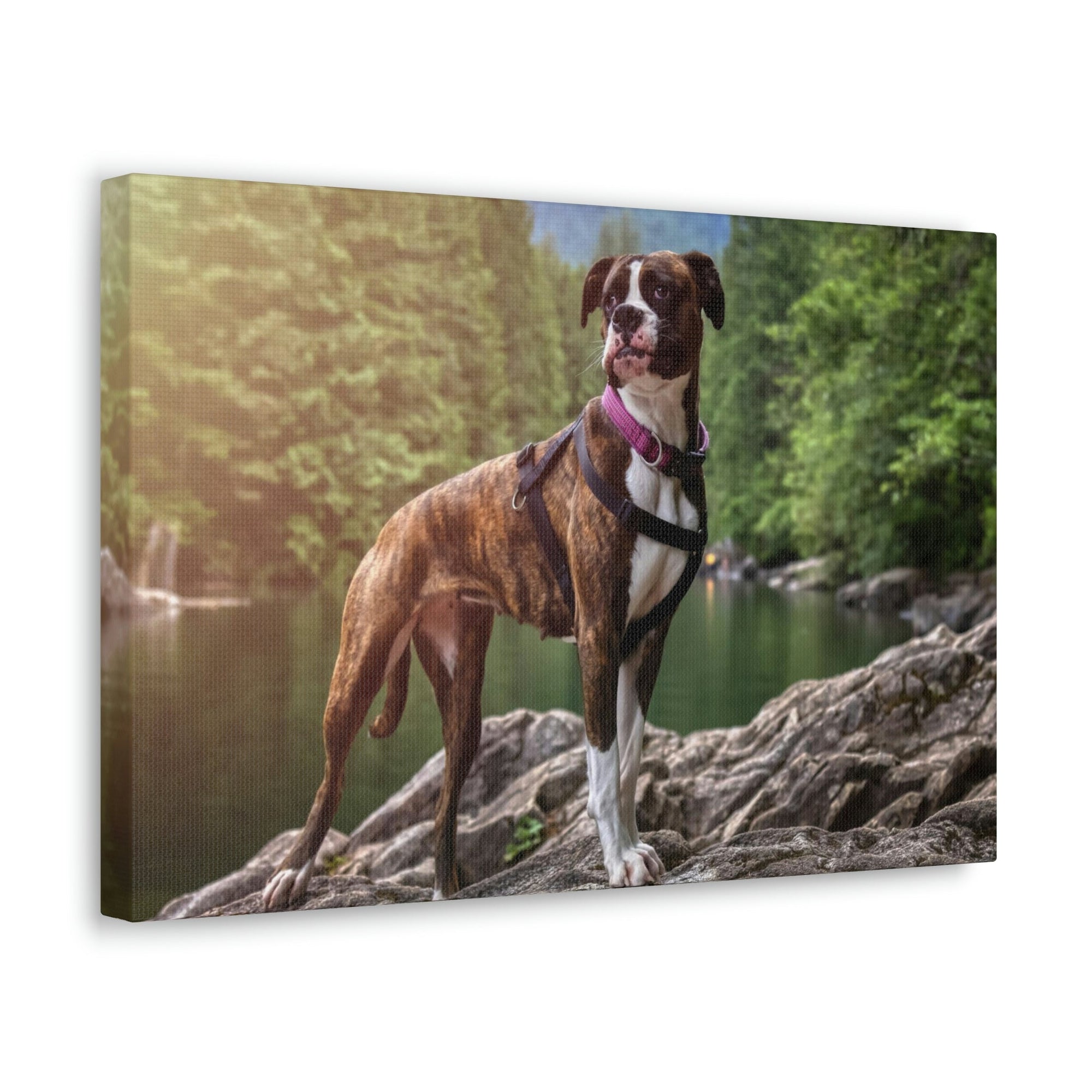 Scripture Walls Majestic Boxer dog Art Majestic Boxer dog Print Animal Wall Art Wildlife Canvas Prints Wall Art Ready to Hang Unframed-Express Your Love Gifts