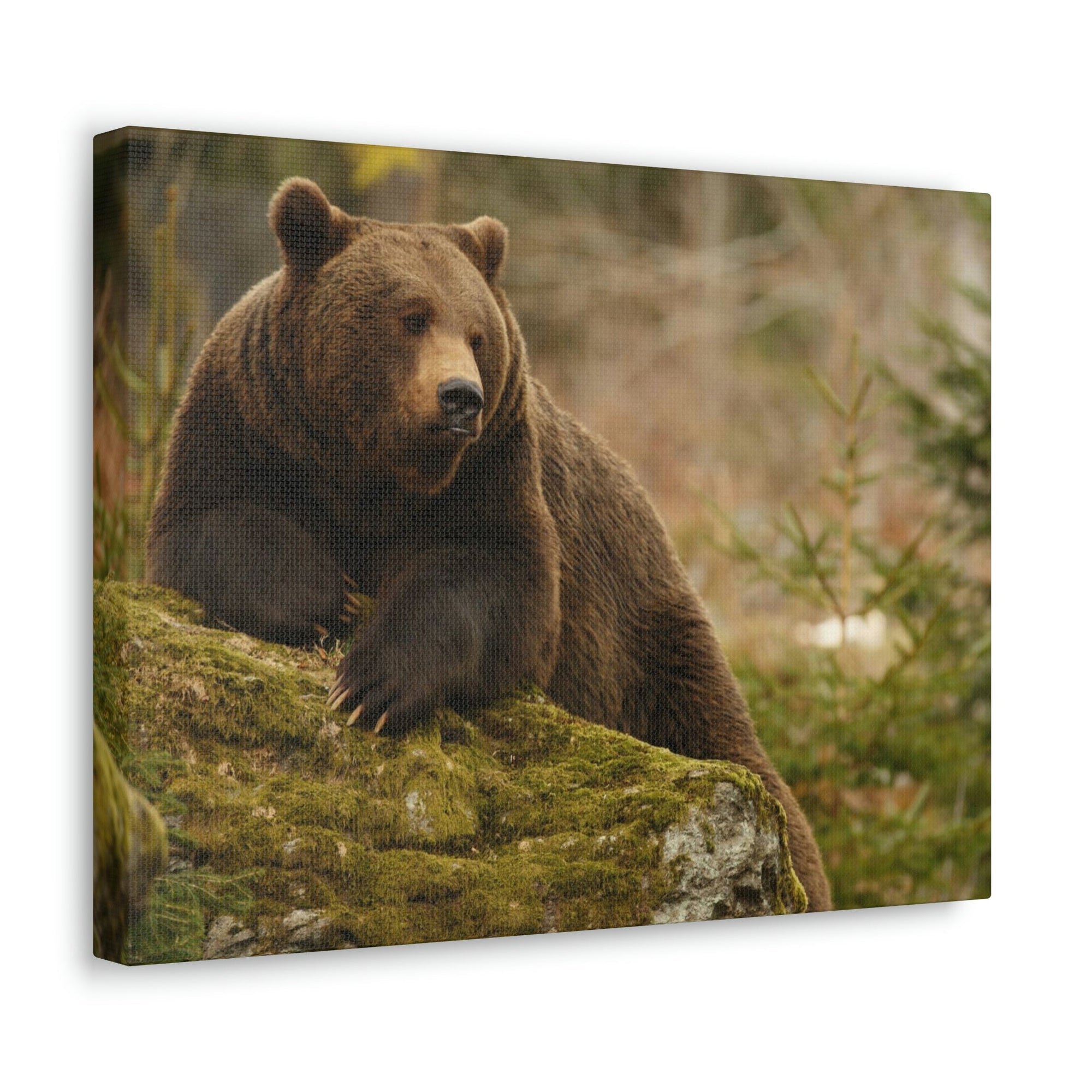 Scripture Walls Majestic Brown Bear Art Majestic Brown Bear Print Animal Wall Art Wildlife Canvas Prints Wall Art Ready to Hang Unframed-Express Your Love Gifts