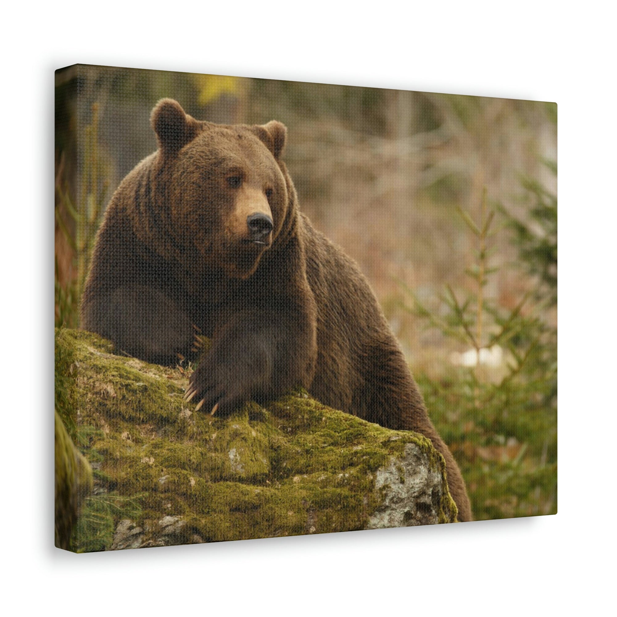 Scripture Walls Majestic Brown Bear Art Majestic Brown Bear Print Animal Wall Art Wildlife Canvas Prints Wall Art Ready to Hang Unframed-Express Your Love Gifts