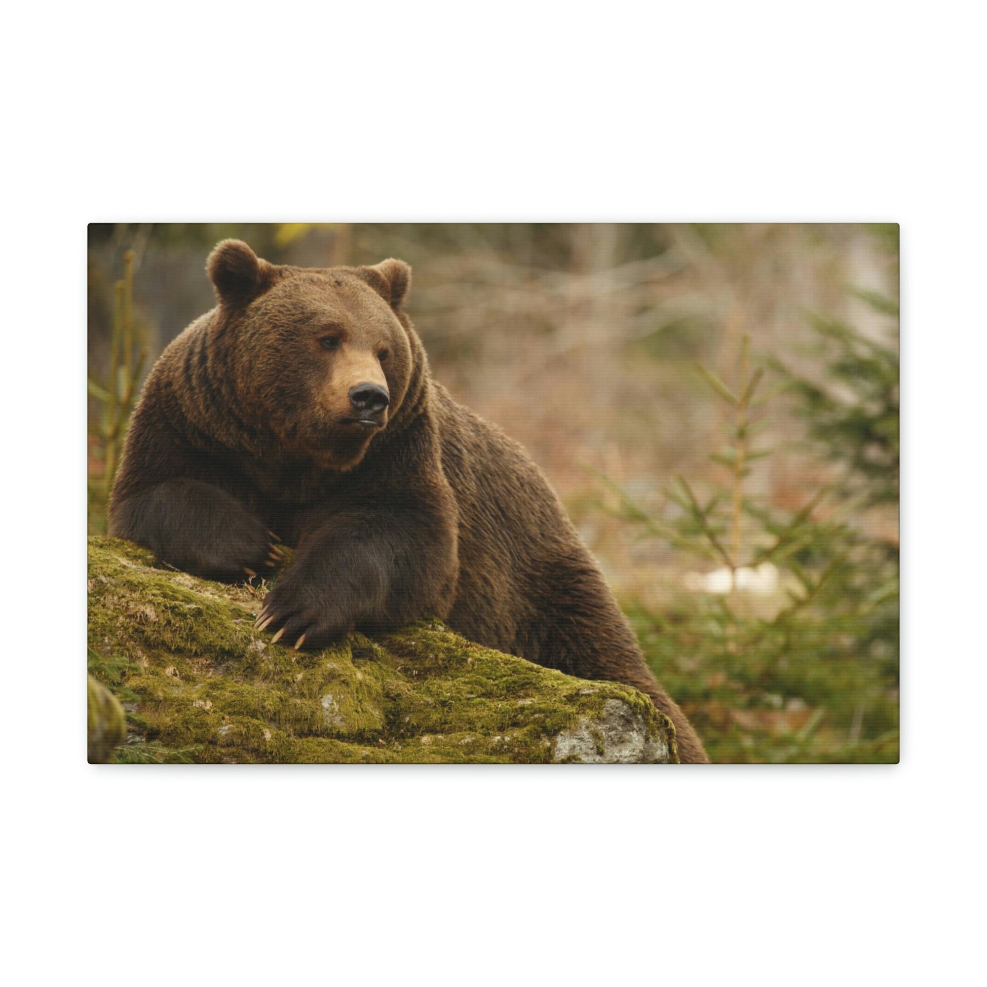 Scripture Walls Majestic Brown Bear Art Majestic Brown Bear Print Animal Wall Art Wildlife Canvas Prints Wall Art Ready to Hang Unframed-Express Your Love Gifts