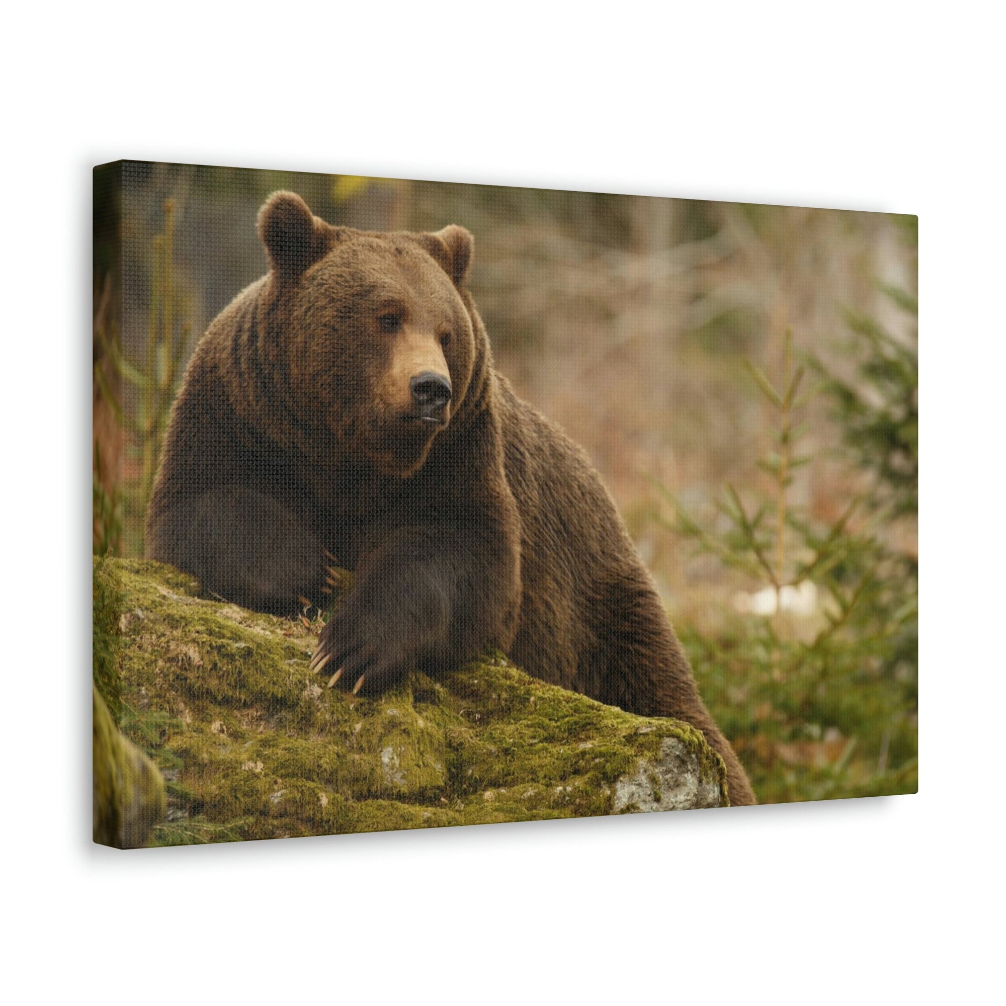 Scripture Walls Majestic Brown Bear Art Majestic Brown Bear Print Animal Wall Art Wildlife Canvas Prints Wall Art Ready to Hang Unframed-Express Your Love Gifts