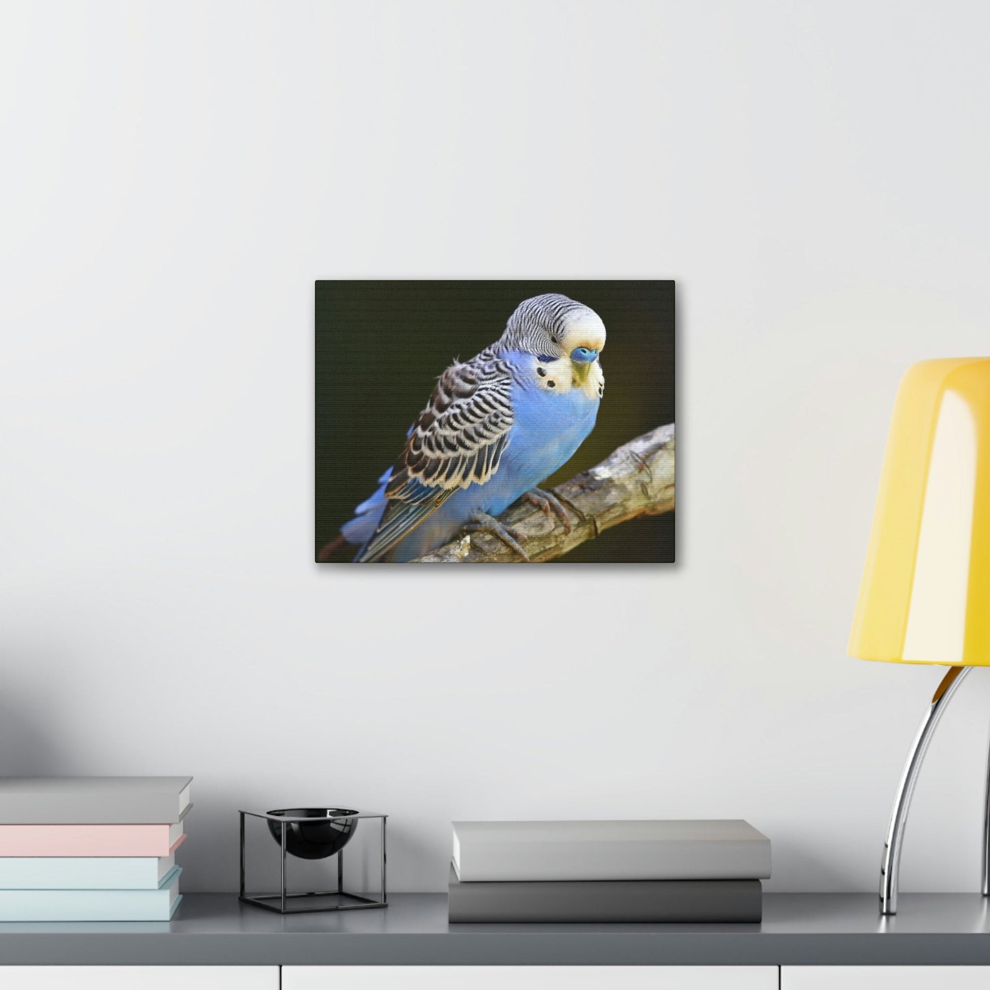 Scripture Walls Majestic Budgie Art Majestic Budgie Print Animal Wall Art Wildlife Canvas Prints Wall Art Ready to Hang Unframed-Express Your Love Gifts