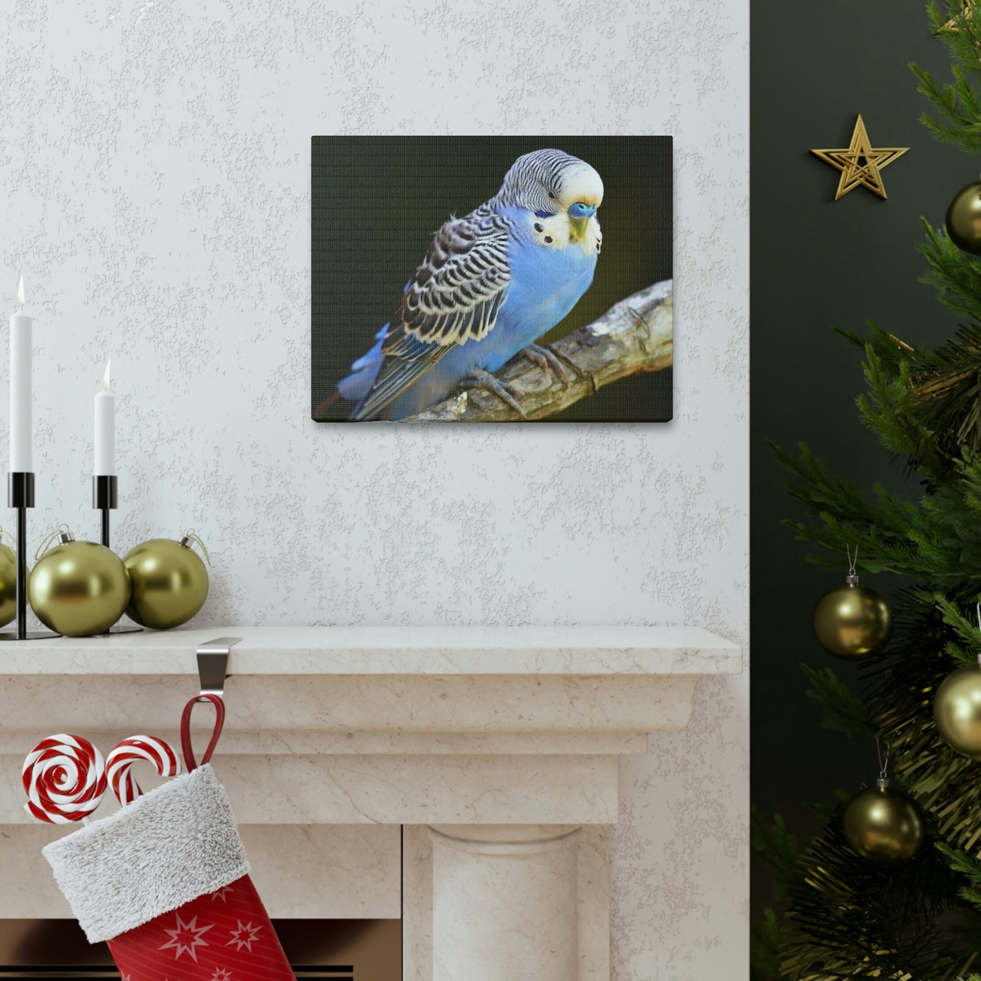 Scripture Walls Majestic Budgie Art Majestic Budgie Print Animal Wall Art Wildlife Canvas Prints Wall Art Ready to Hang Unframed-Express Your Love Gifts