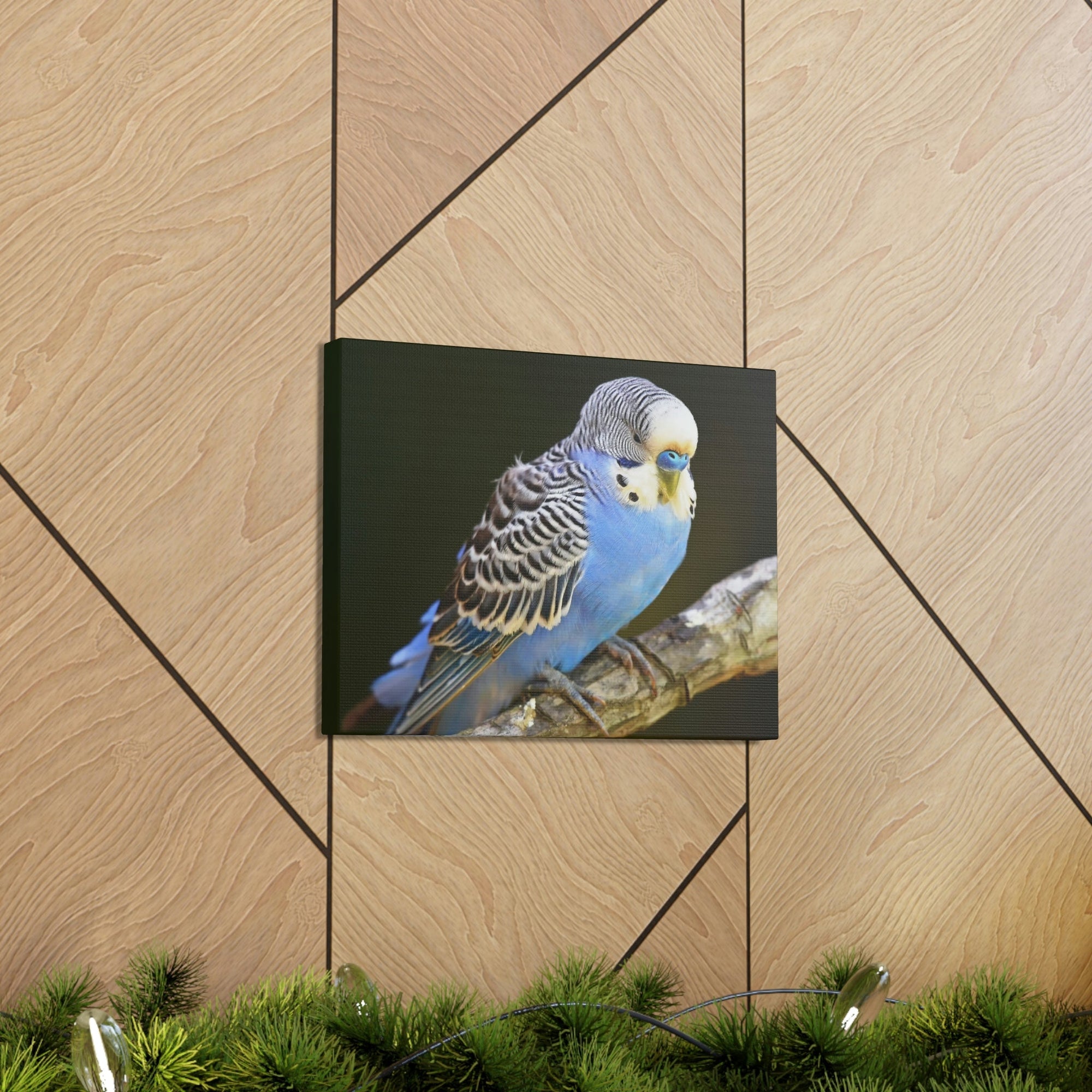 Scripture Walls Majestic Budgie Art Majestic Budgie Print Animal Wall Art Wildlife Canvas Prints Wall Art Ready to Hang Unframed-Express Your Love Gifts