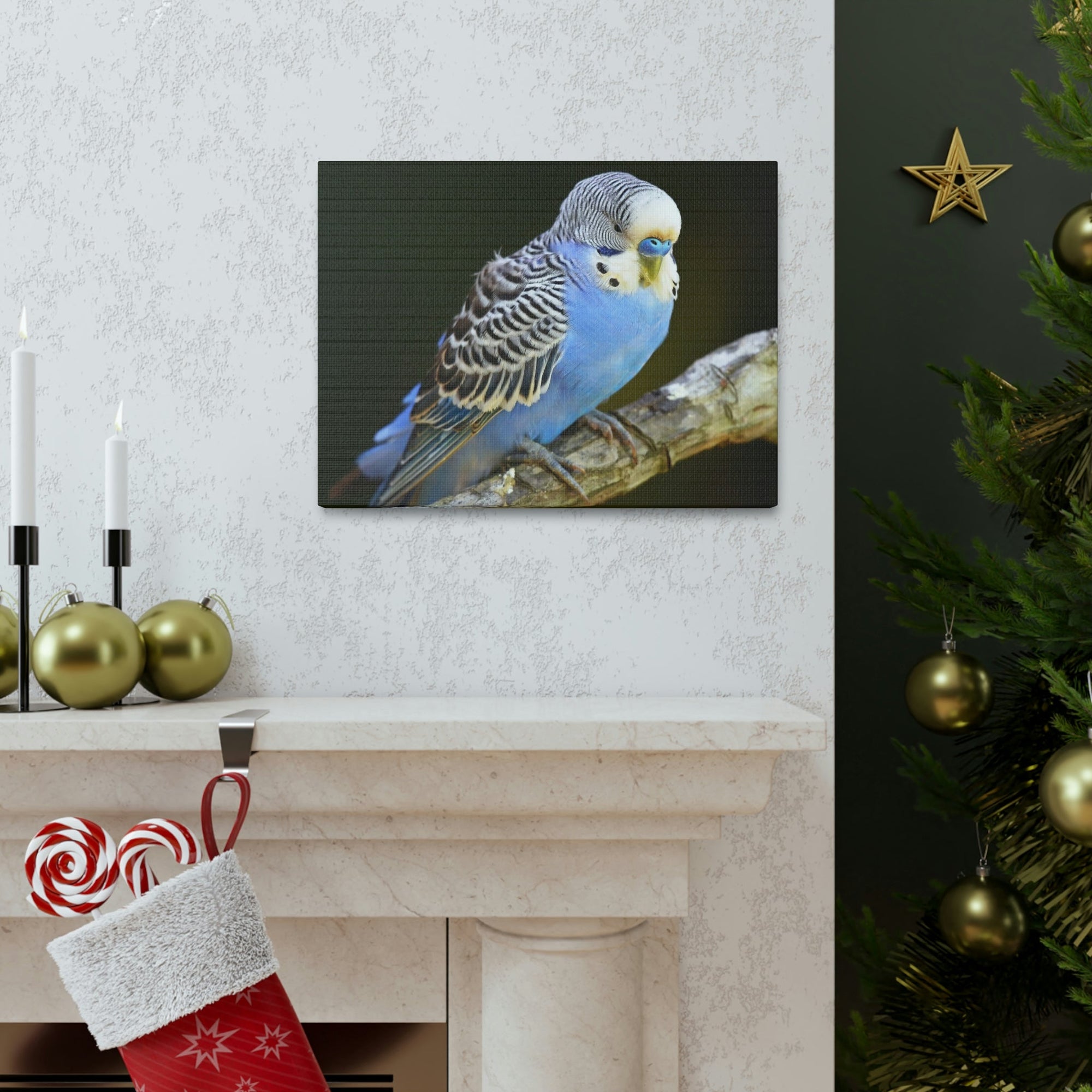 Scripture Walls Majestic Budgie Art Majestic Budgie Print Animal Wall Art Wildlife Canvas Prints Wall Art Ready to Hang Unframed-Express Your Love Gifts