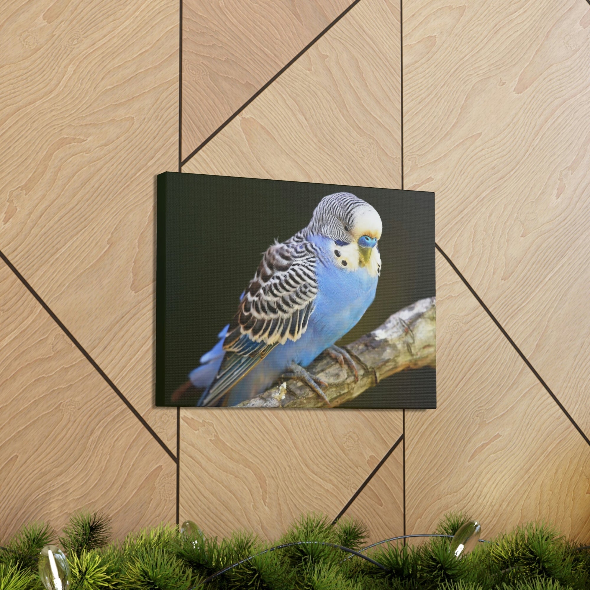 Scripture Walls Majestic Budgie Art Majestic Budgie Print Animal Wall Art Wildlife Canvas Prints Wall Art Ready to Hang Unframed-Express Your Love Gifts