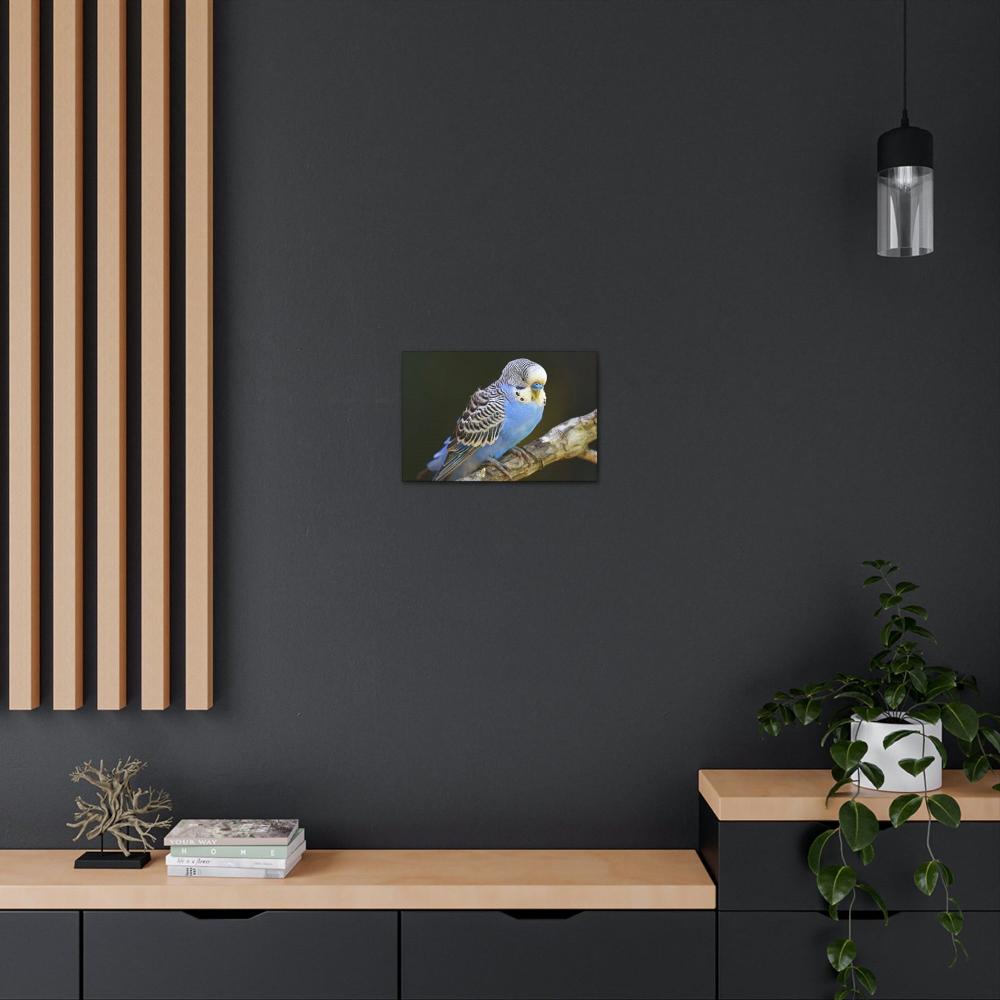 Scripture Walls Majestic Budgie Art Majestic Budgie Print Animal Wall Art Wildlife Canvas Prints Wall Art Ready to Hang Unframed-Express Your Love Gifts