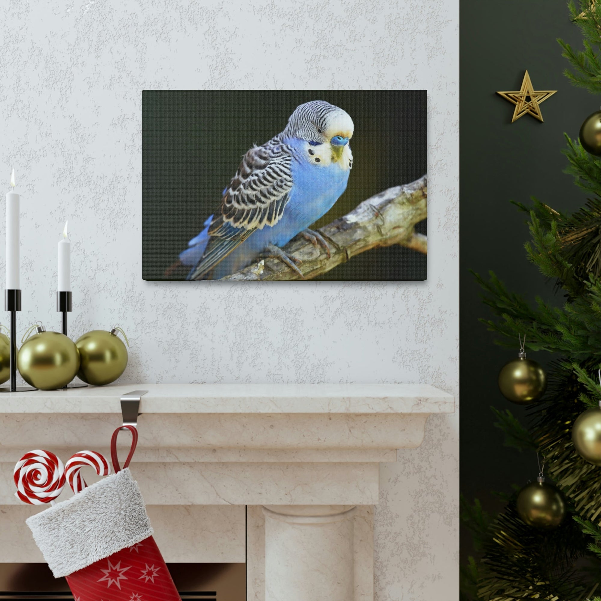 Scripture Walls Majestic Budgie Art Majestic Budgie Print Animal Wall Art Wildlife Canvas Prints Wall Art Ready to Hang Unframed-Express Your Love Gifts