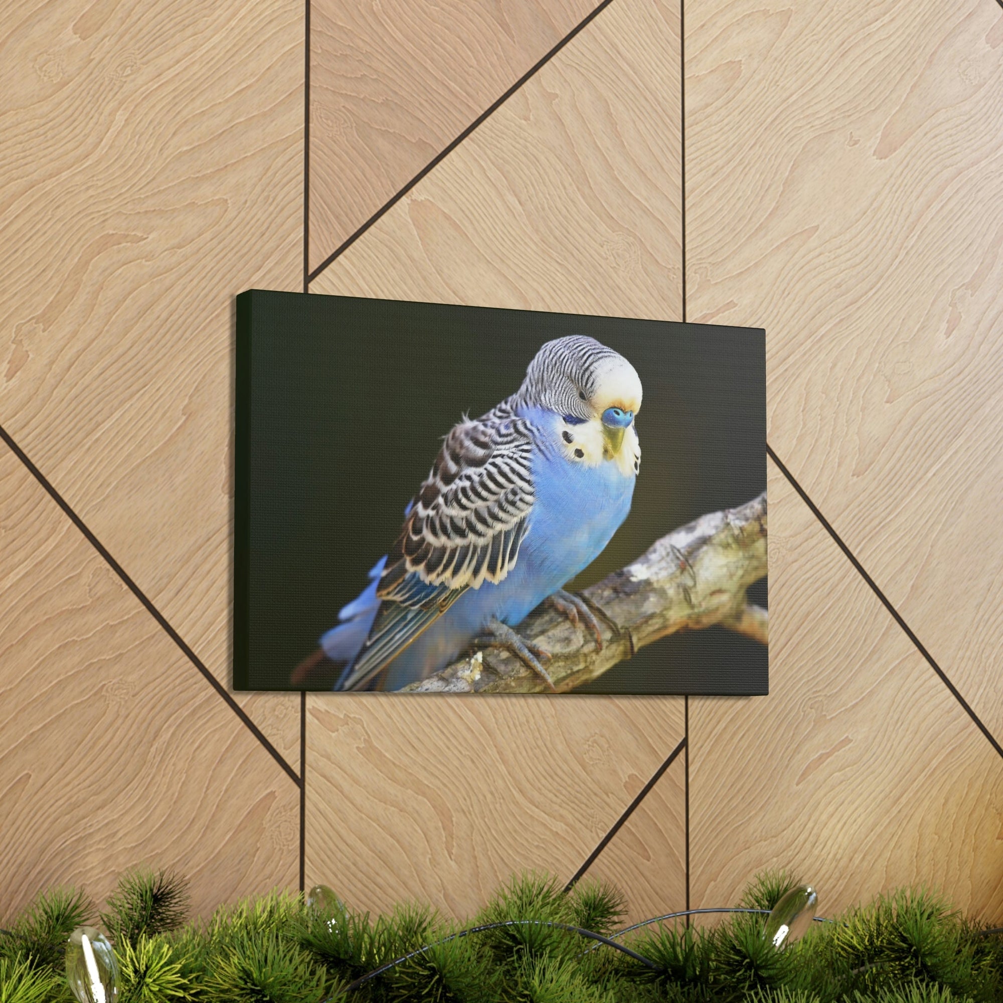 Scripture Walls Majestic Budgie Art Majestic Budgie Print Animal Wall Art Wildlife Canvas Prints Wall Art Ready to Hang Unframed-Express Your Love Gifts