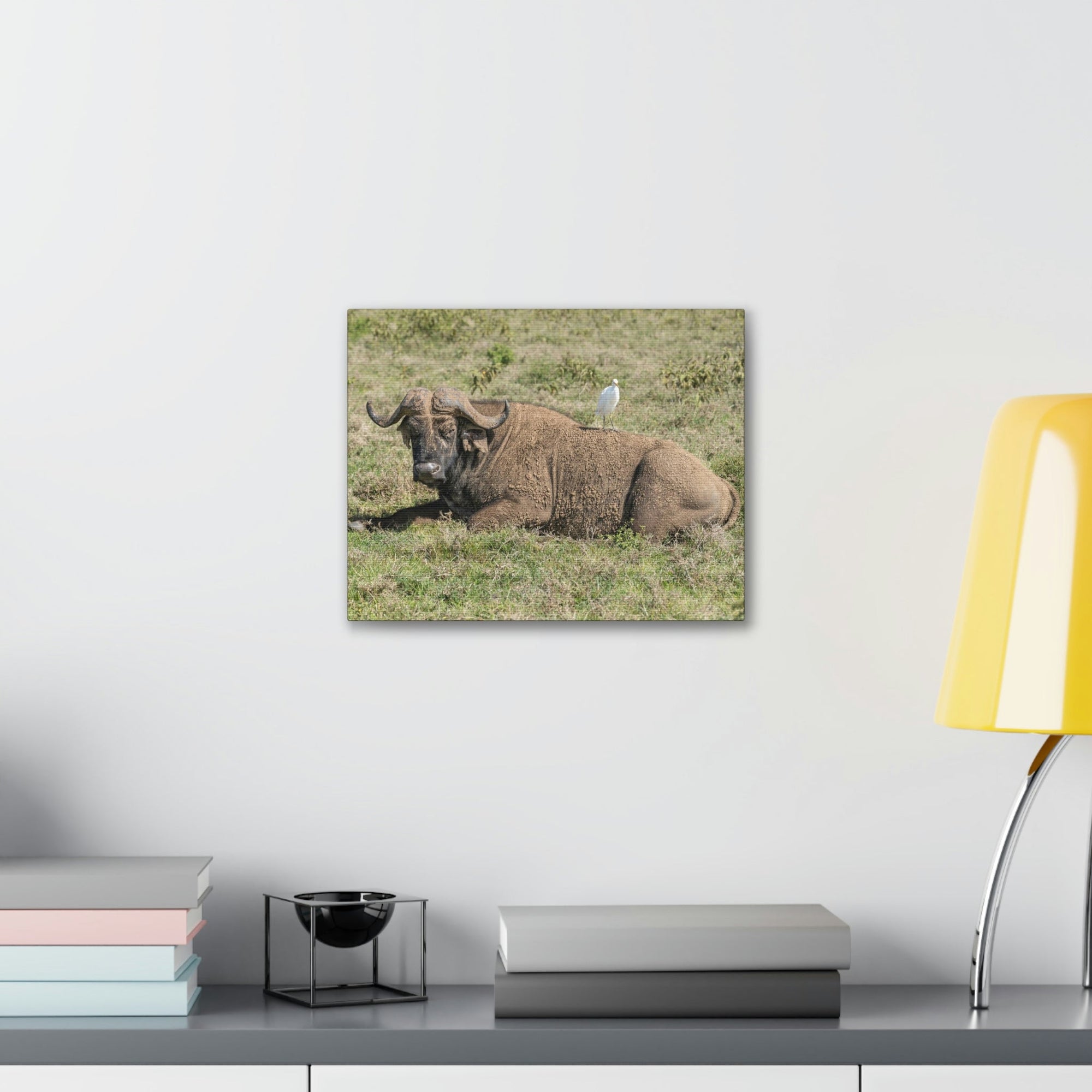 Scripture Walls Majestic Buffalo Art Majestic Buffalo Print Animal Wall Art Wildlife Canvas Prints Wall Art Ready to Hang Unframed-Express Your Love Gifts