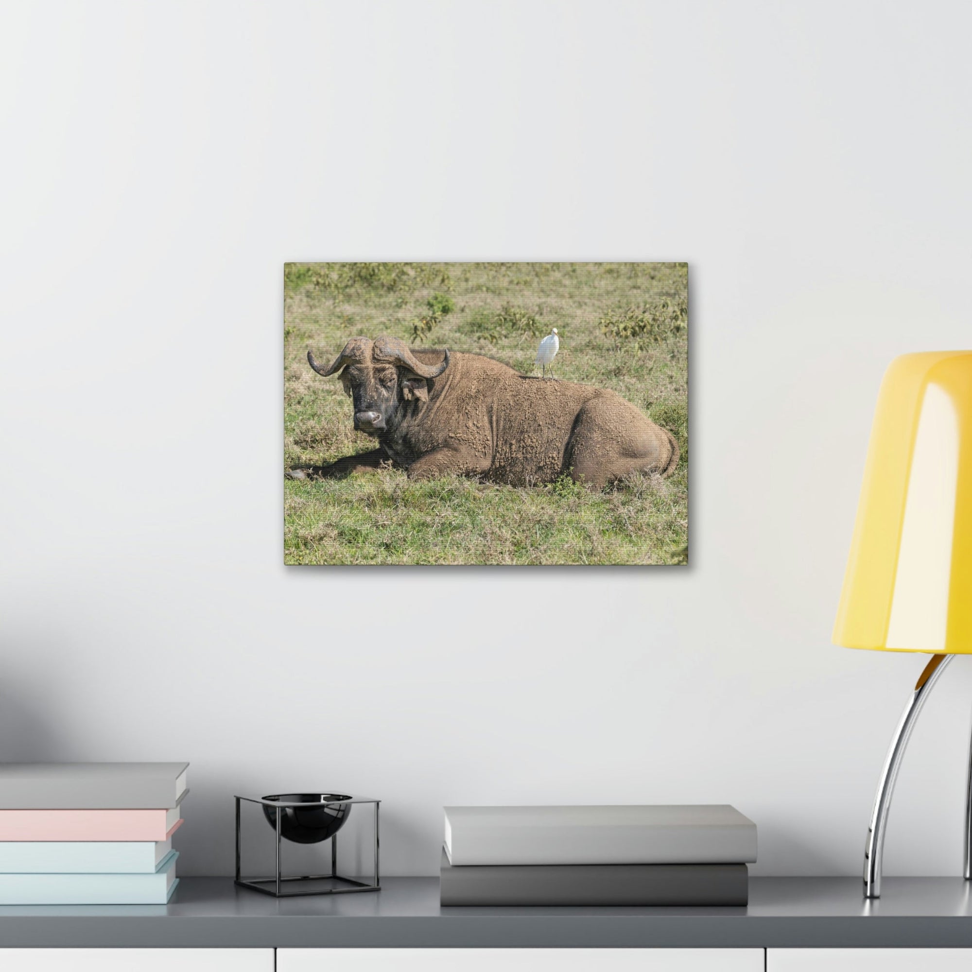 Scripture Walls Majestic Buffalo Art Majestic Buffalo Print Animal Wall Art Wildlife Canvas Prints Wall Art Ready to Hang Unframed-Express Your Love Gifts