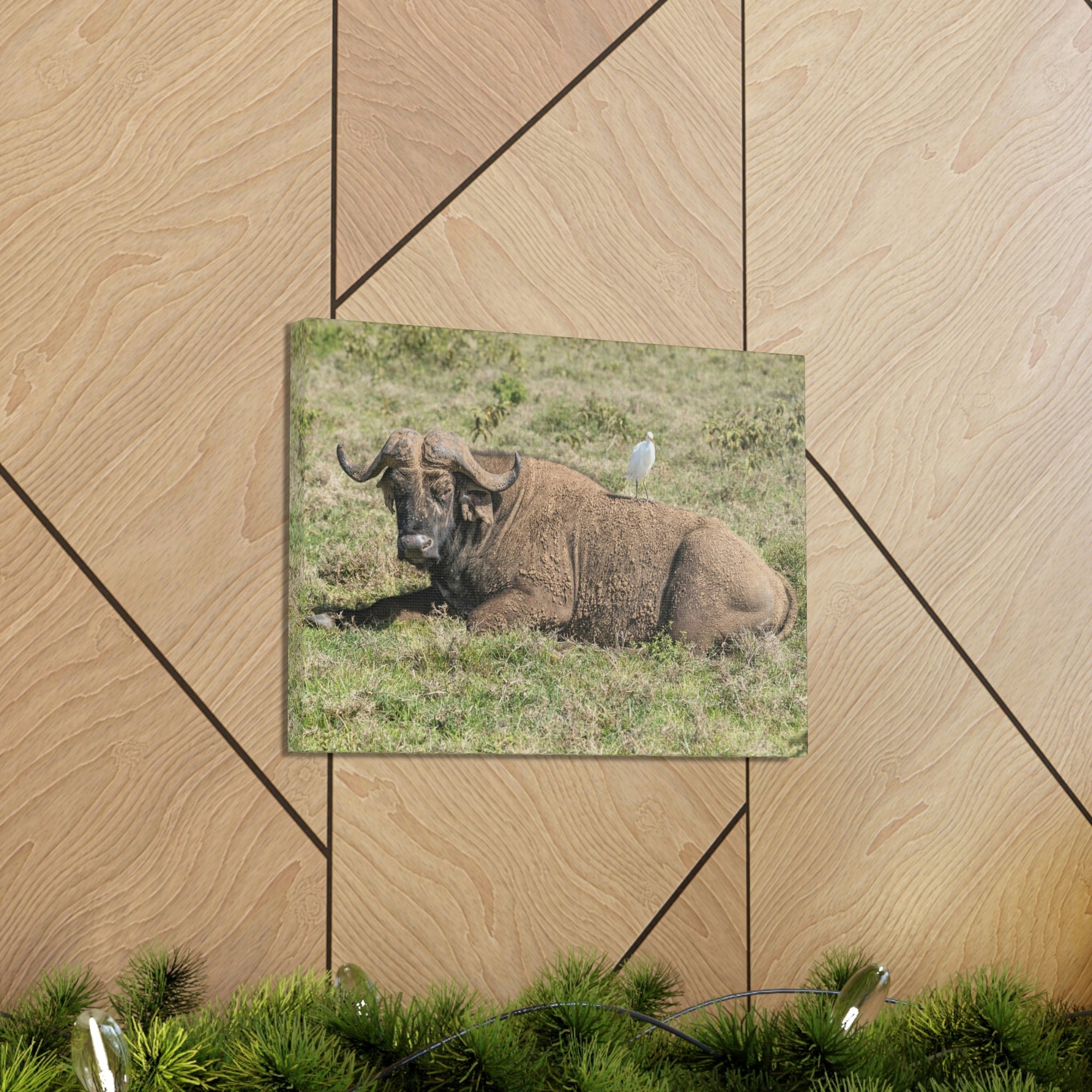 Scripture Walls Majestic Buffalo Art Majestic Buffalo Print Animal Wall Art Wildlife Canvas Prints Wall Art Ready to Hang Unframed-Express Your Love Gifts