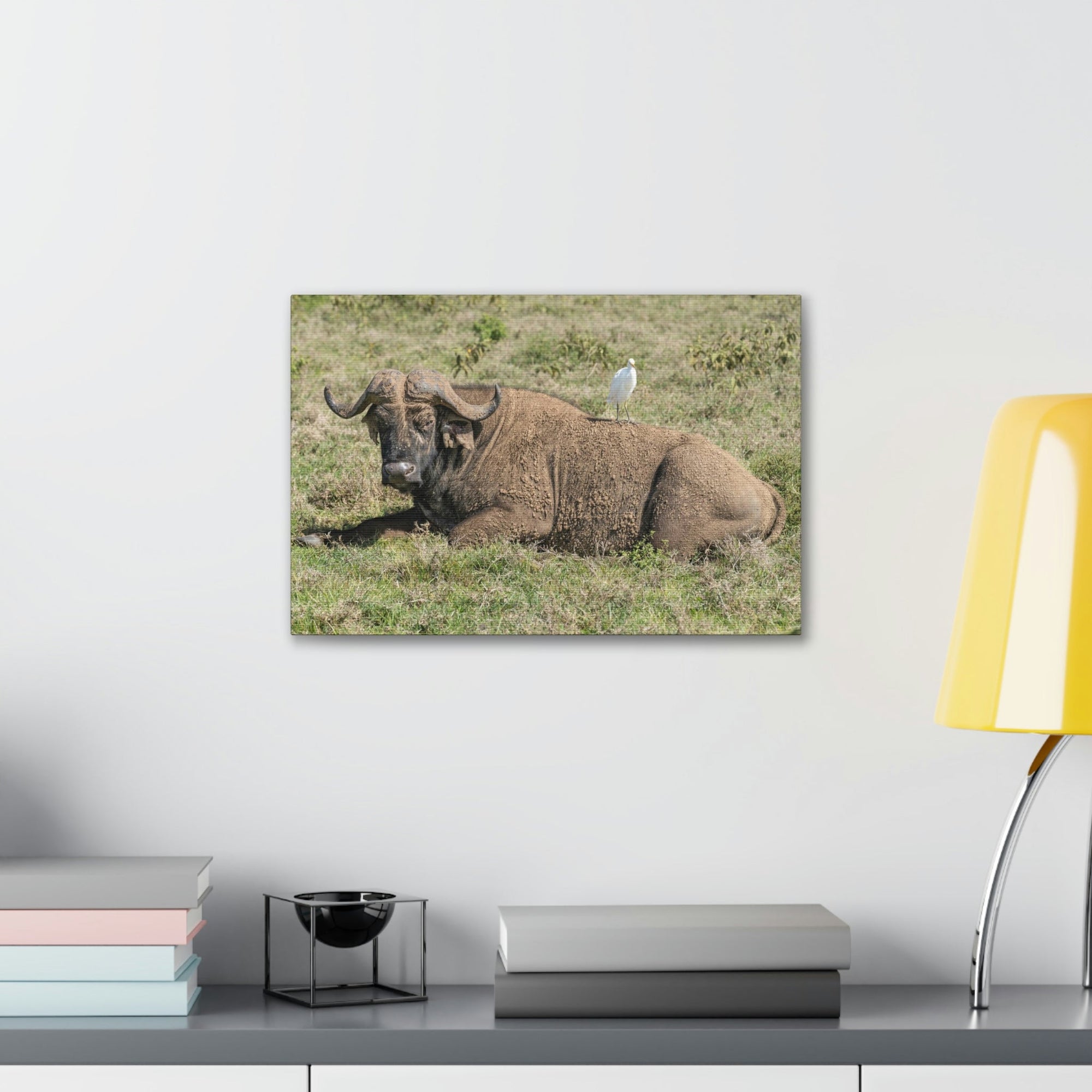 Scripture Walls Majestic Buffalo Art Majestic Buffalo Print Animal Wall Art Wildlife Canvas Prints Wall Art Ready to Hang Unframed-Express Your Love Gifts