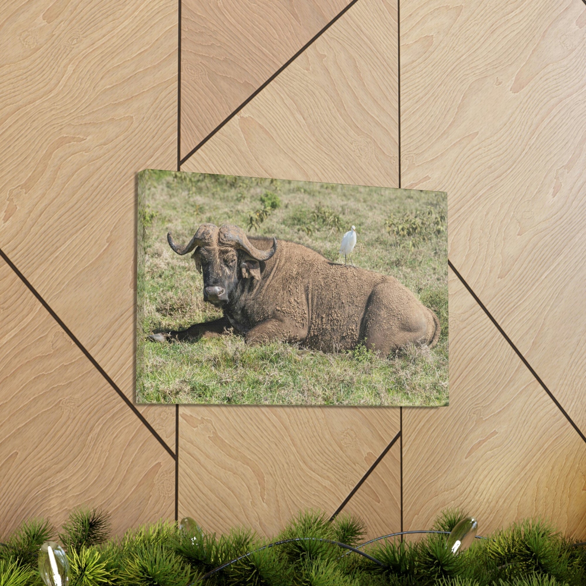 Scripture Walls Majestic Buffalo Art Majestic Buffalo Print Animal Wall Art Wildlife Canvas Prints Wall Art Ready to Hang Unframed-Express Your Love Gifts