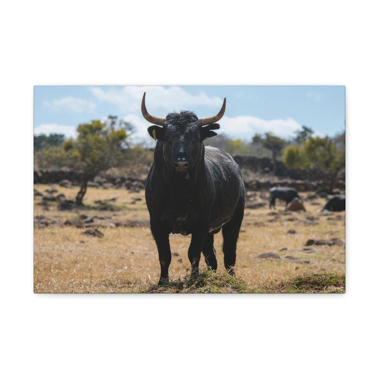 Scripture Walls Majestic Bull Art Majestic Bull Print Animal Wall Art Wildlife Canvas Prints Wall Art Ready to Hang Unframed-Express Your Love Gifts