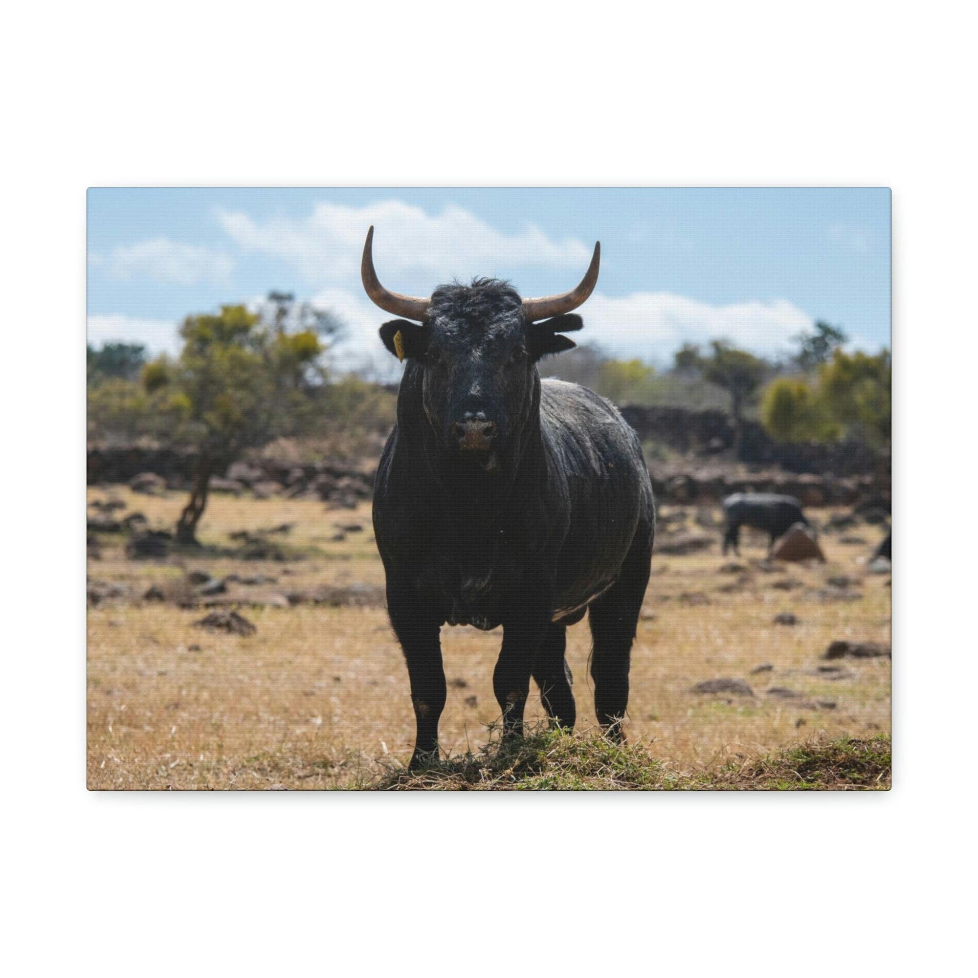 Scripture Walls Majestic Bull Art Majestic Bull Print Animal Wall Art Wildlife Canvas Prints Wall Art Ready to Hang Unframed-Express Your Love Gifts