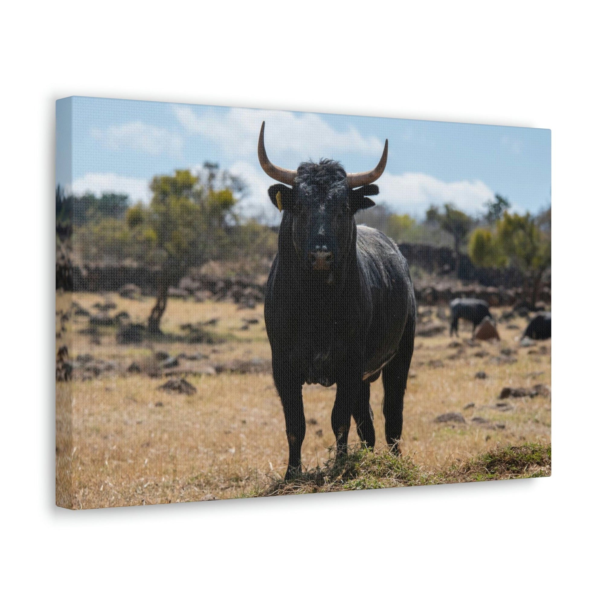 Scripture Walls Majestic Bull Art Majestic Bull Print Animal Wall Art Wildlife Canvas Prints Wall Art Ready to Hang Unframed-Express Your Love Gifts